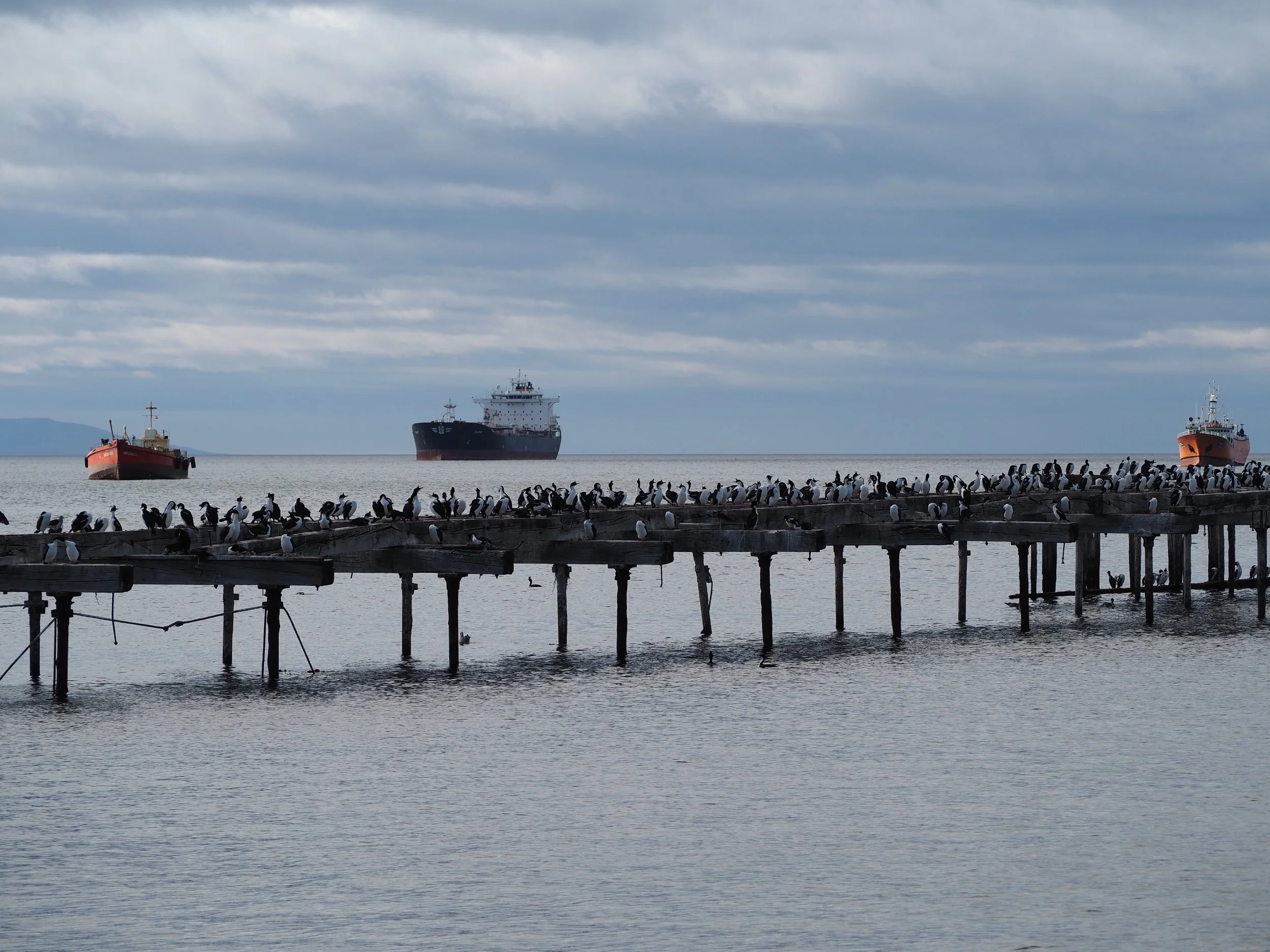 PA225554.JPG