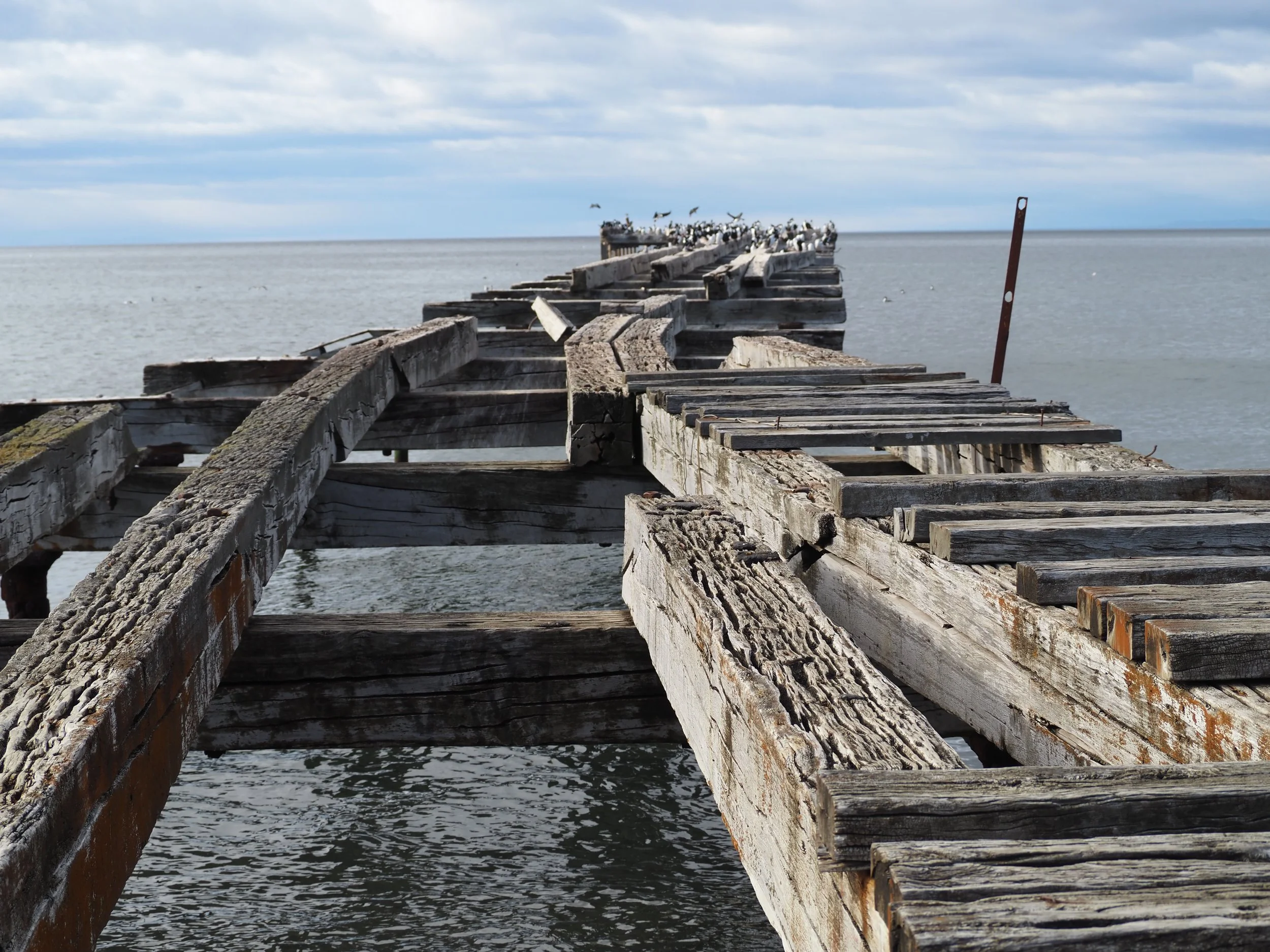 PA225562.JPG