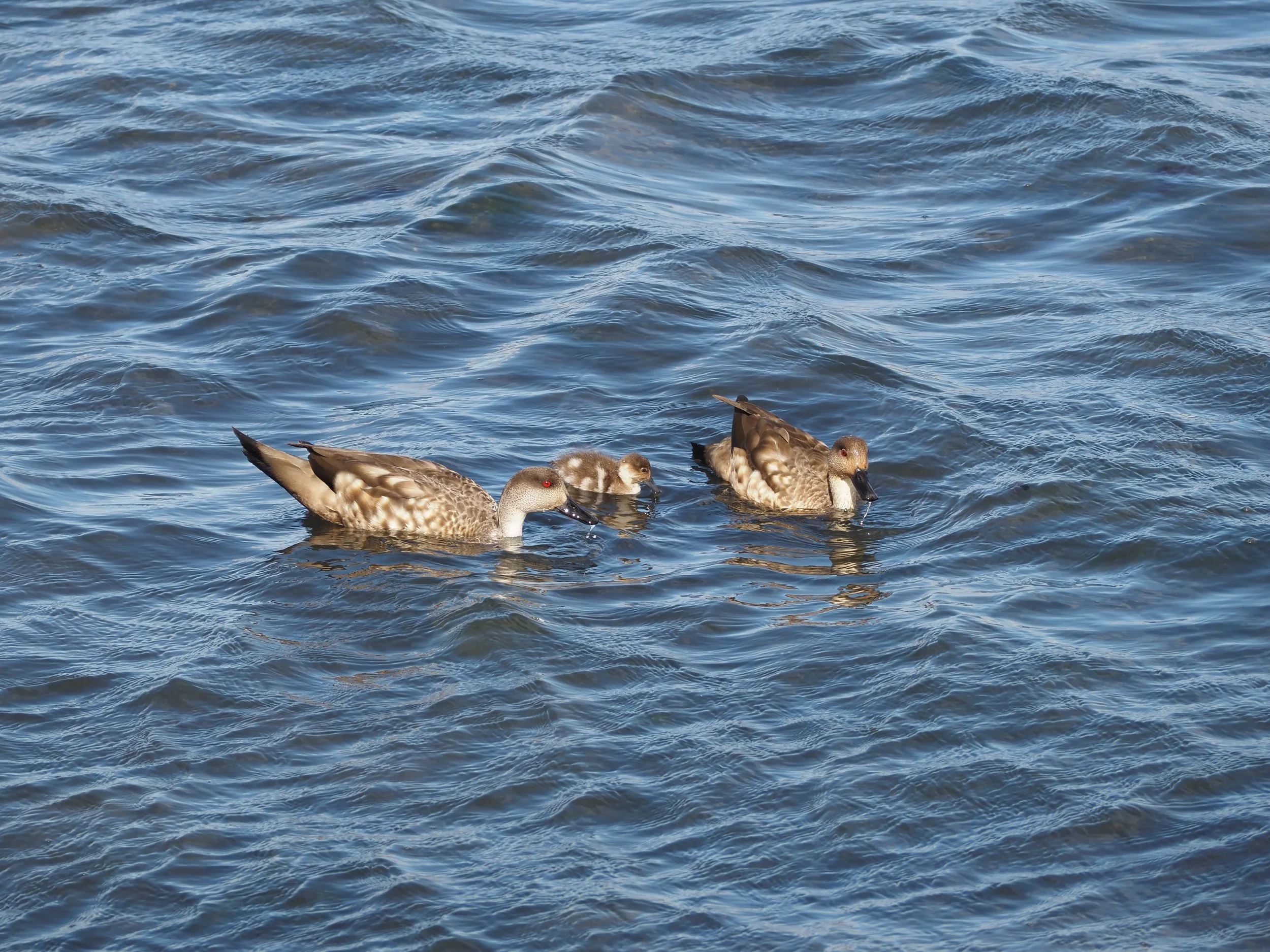PB015859.JPG