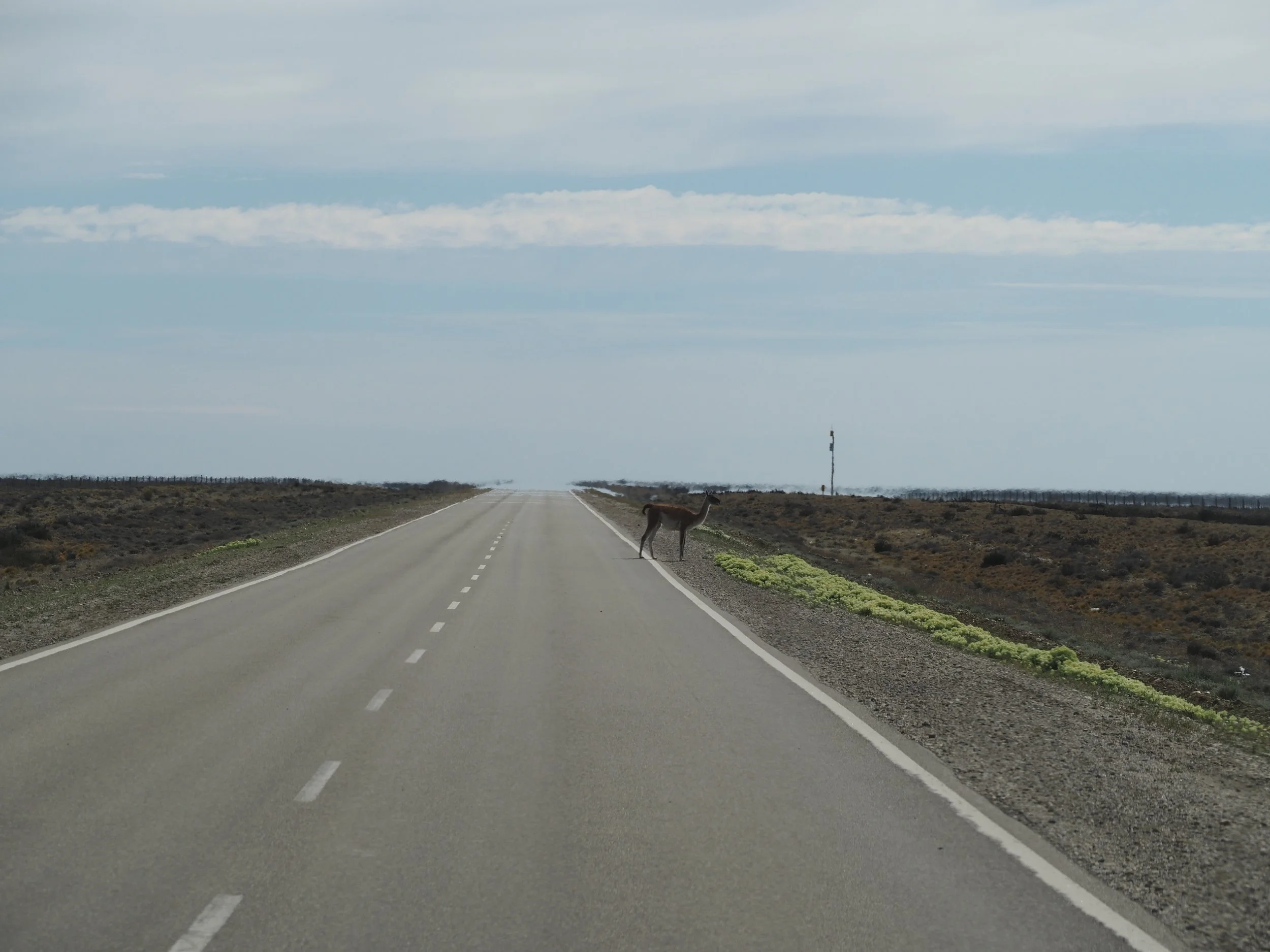 PB076054.JPG