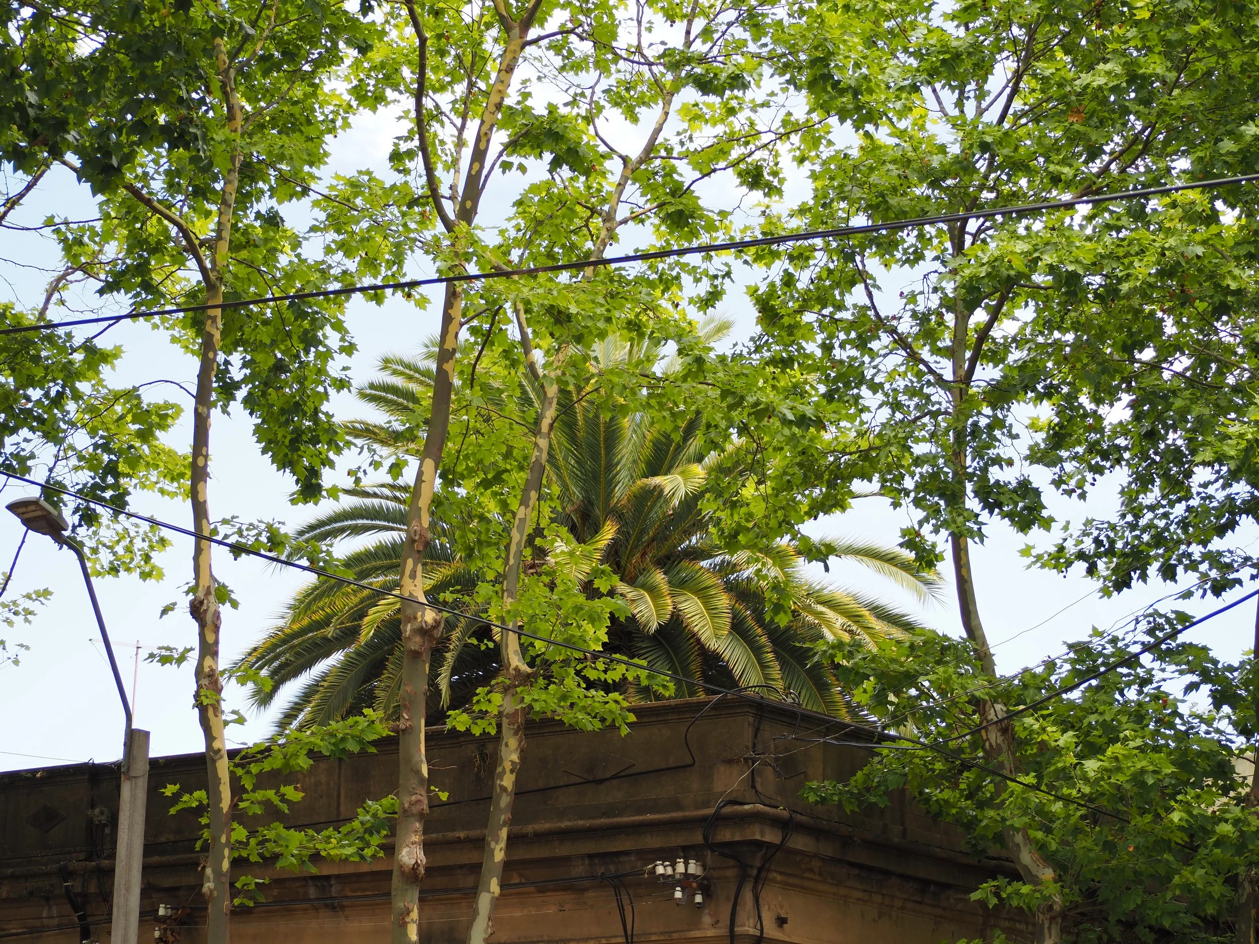 PC120002.JPG