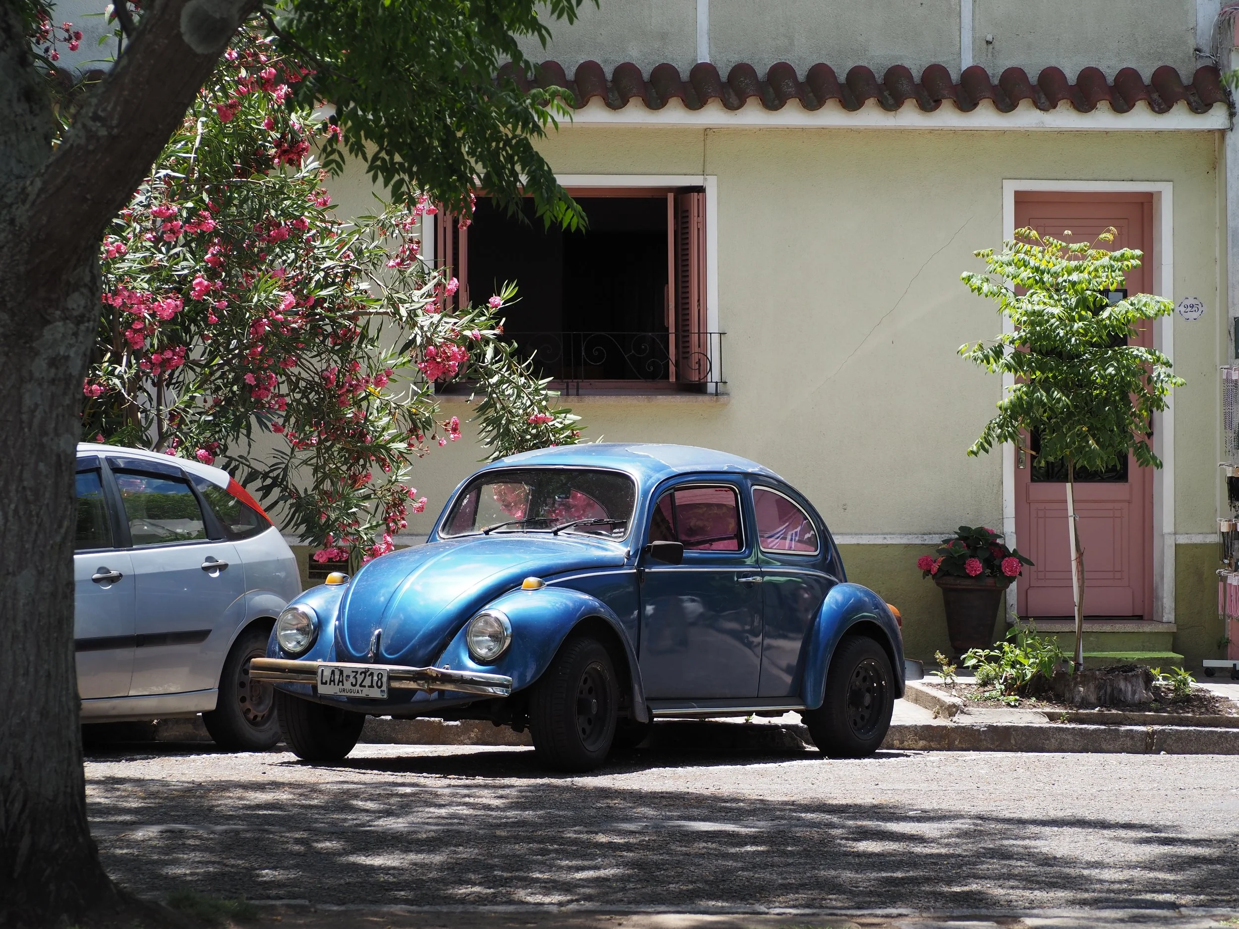 PC120136.JPG
