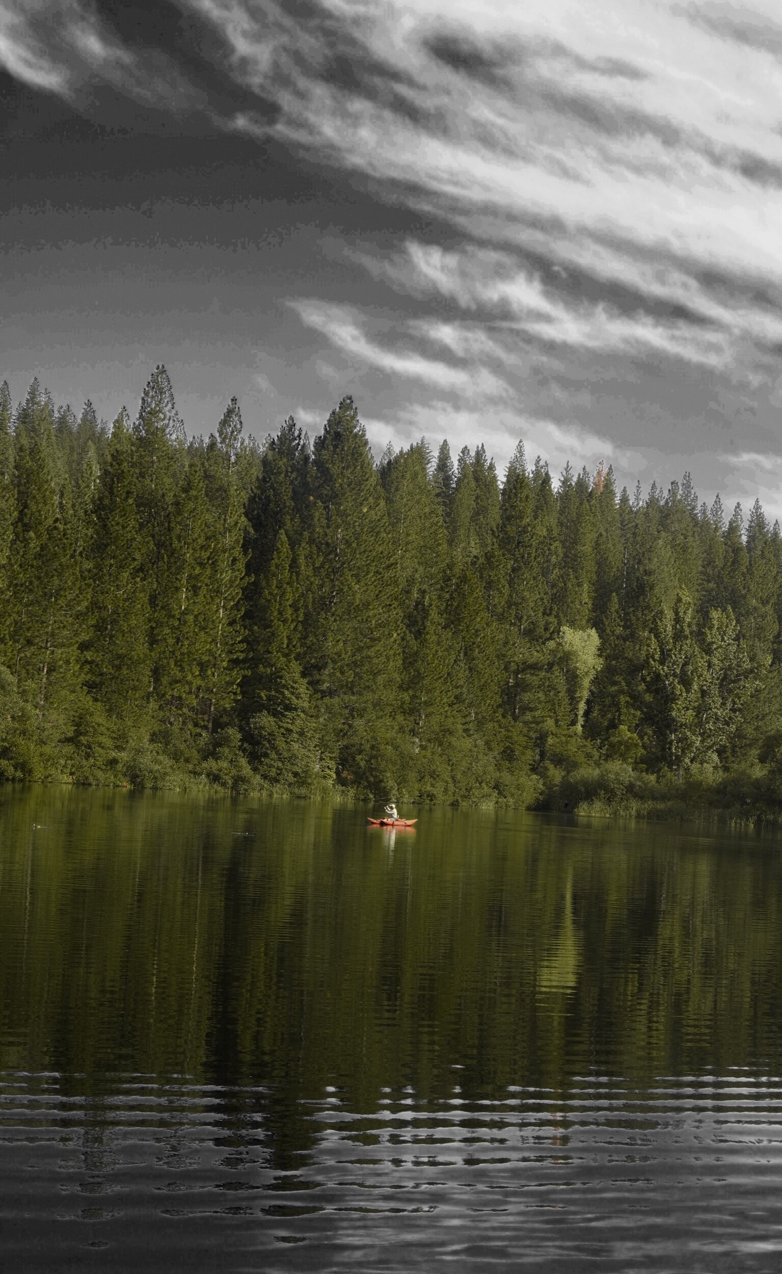 73D6CB7D-D721-4324-90D0-06A8EDA647FF