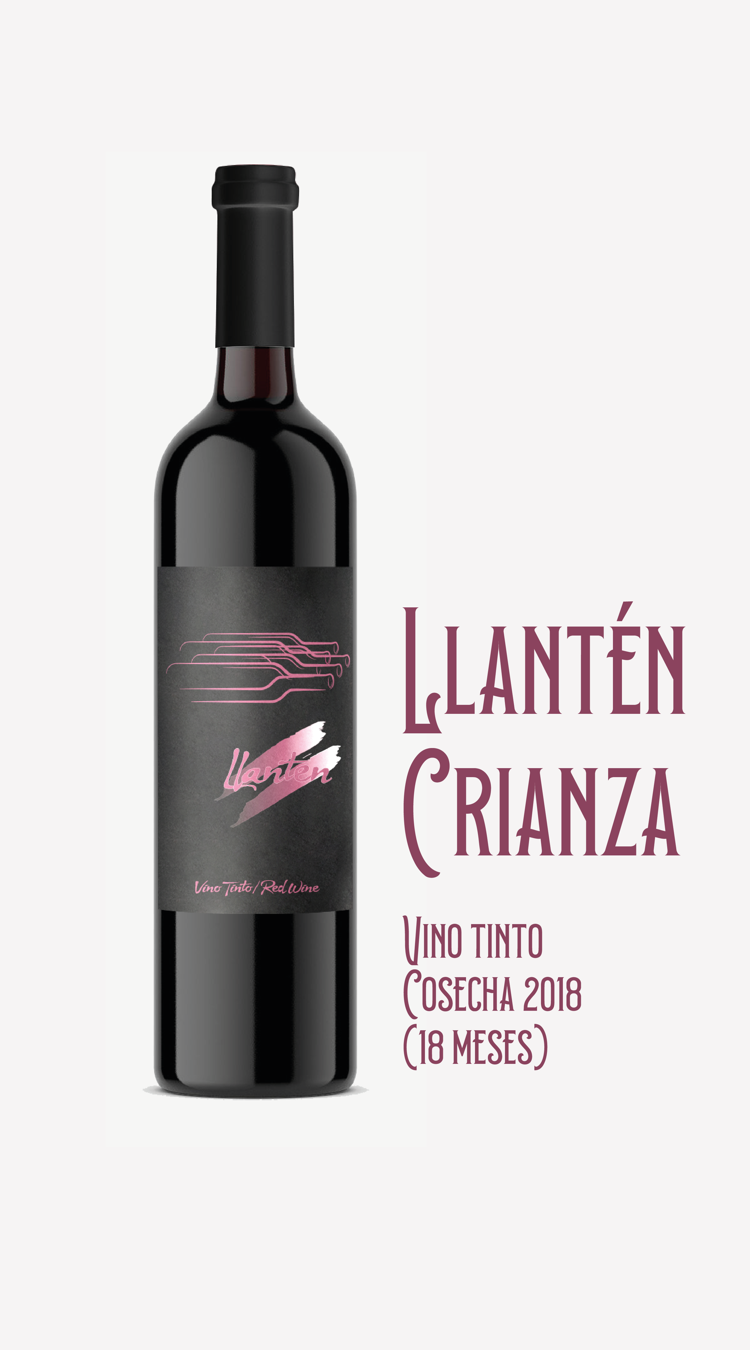 02 - NUESTROS VINOS-95.png