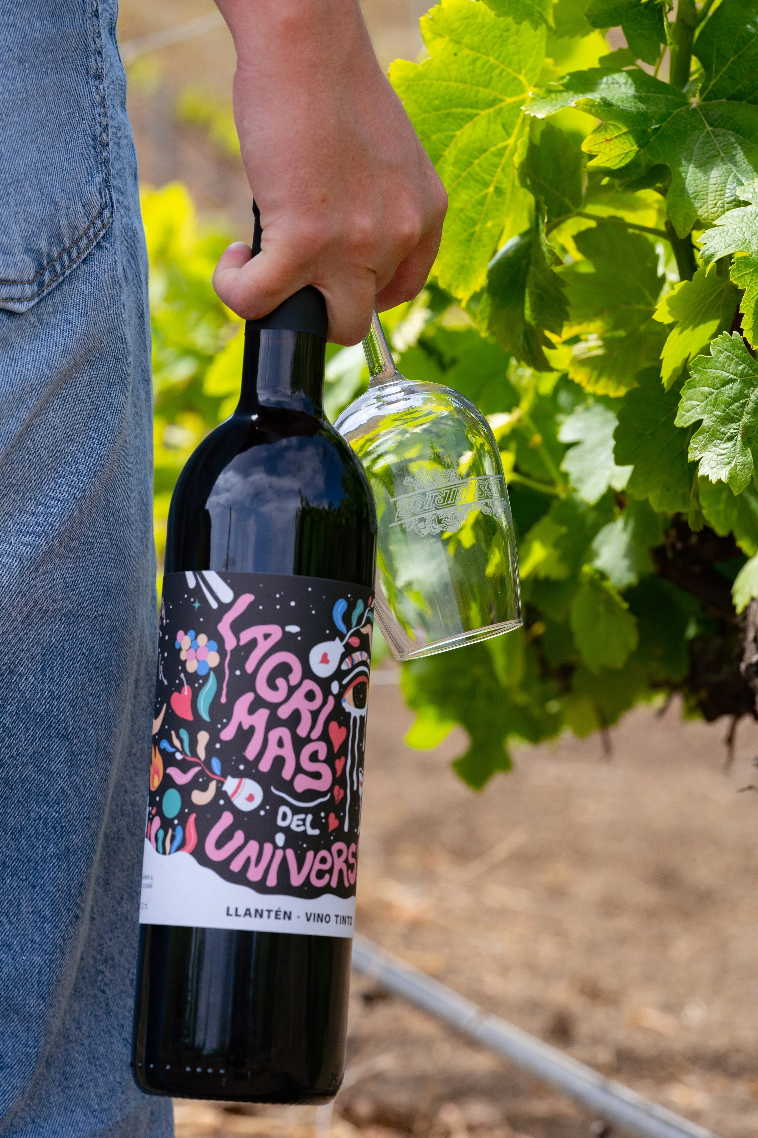 Llantén (Cosecha 2024)