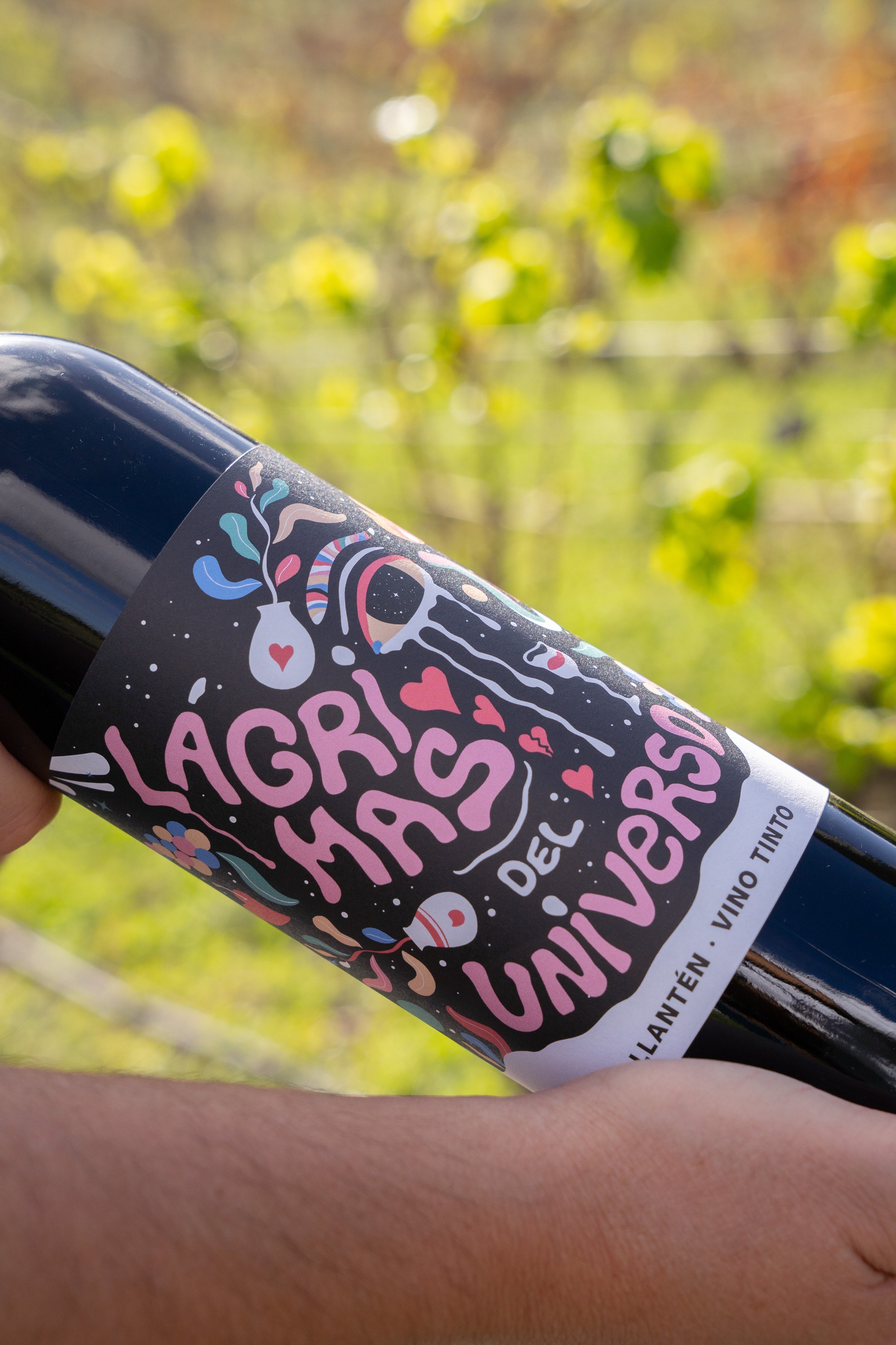 LOS LIRIOS 27  DE DIC-15.jpg