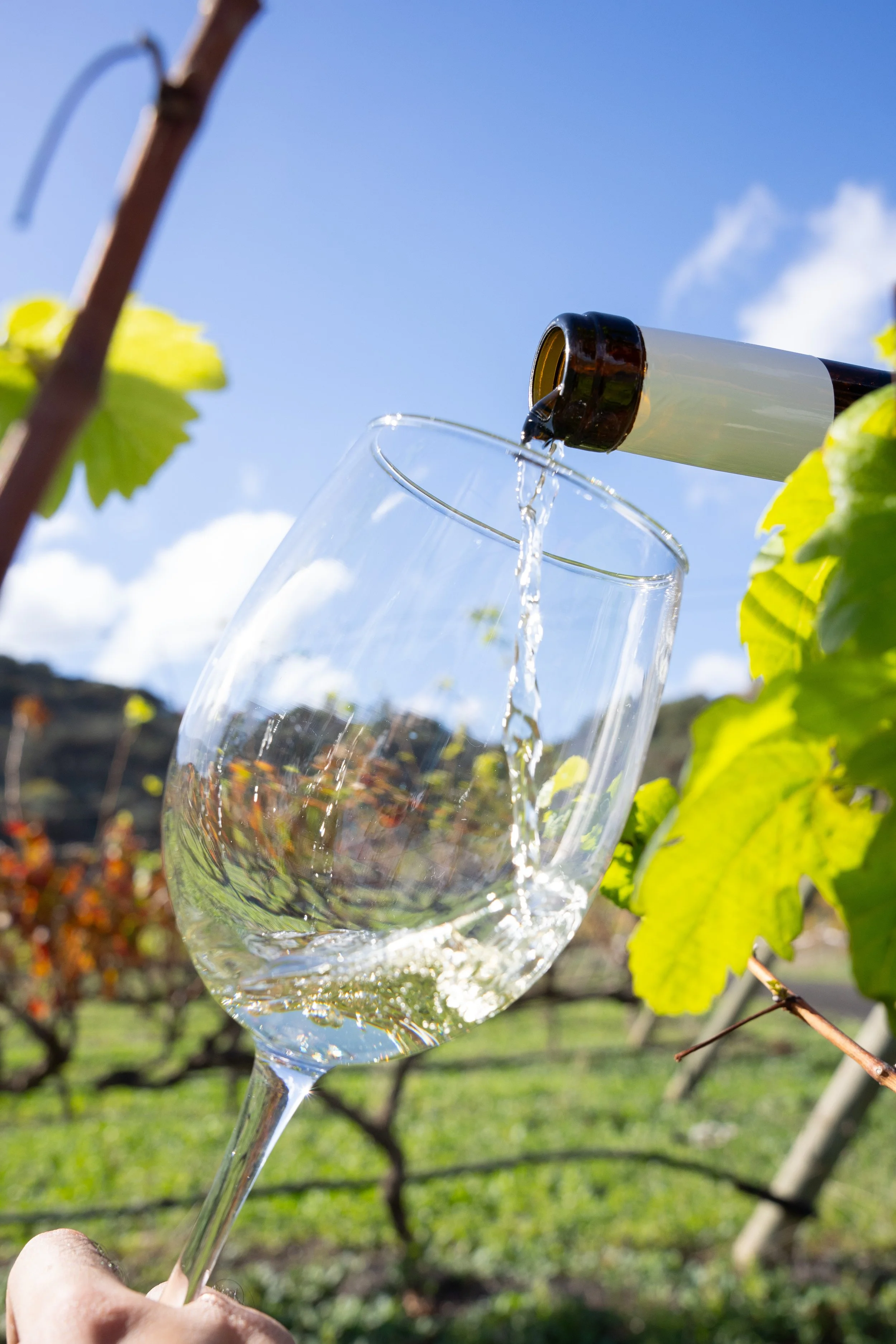 LOS LIRIOS 27  DE DIC-18.jpg