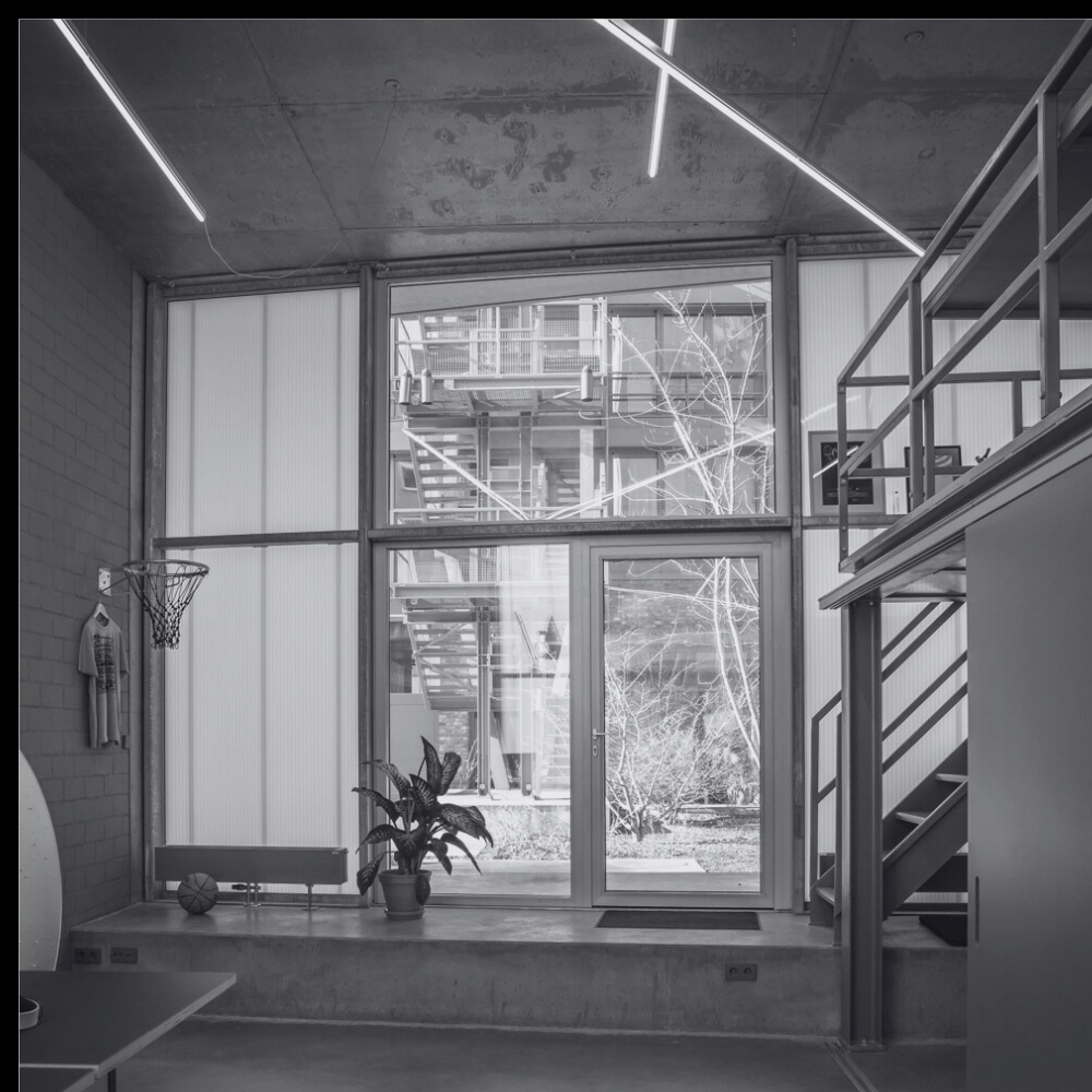 Daylight in the Office: How Natural Lighting Transforms Workspaces