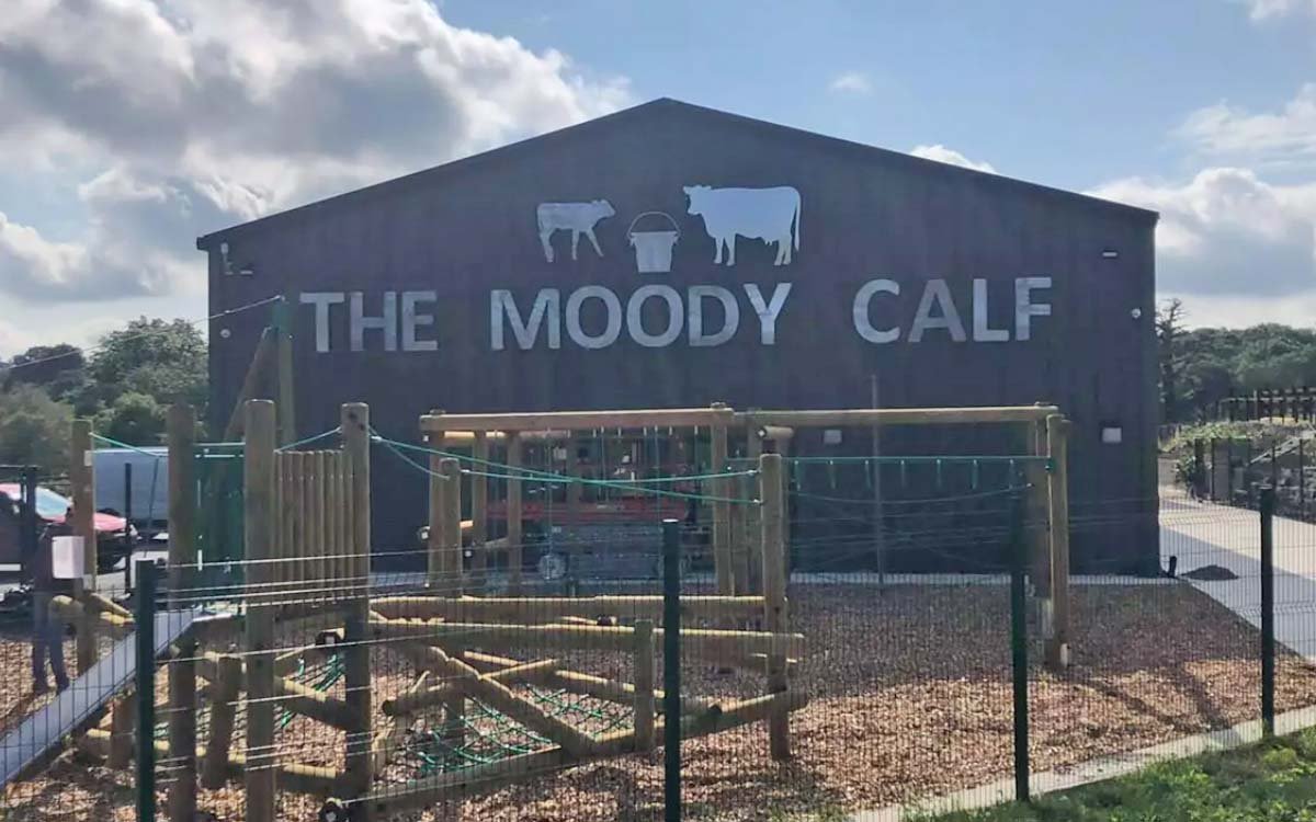 The Moody Calf.jpg