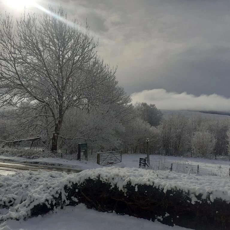 Snowy views from our Scottland office today. 

Shufflebottom.co.uk

#scottland #fortwilliam #snow #scottishfarmers #scottishhighlands #steelframedbuildings #steelmanufacturing #snowyday #shufflbottom #businessscotland #shoplocalscotland #farmingscotl