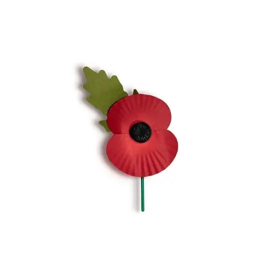 We will remember them.

Today and every day, we honour the bravery and sacrifice of those who served. 

#rememberanceday #lestweforget #wewillrememberthem #shufflebottom