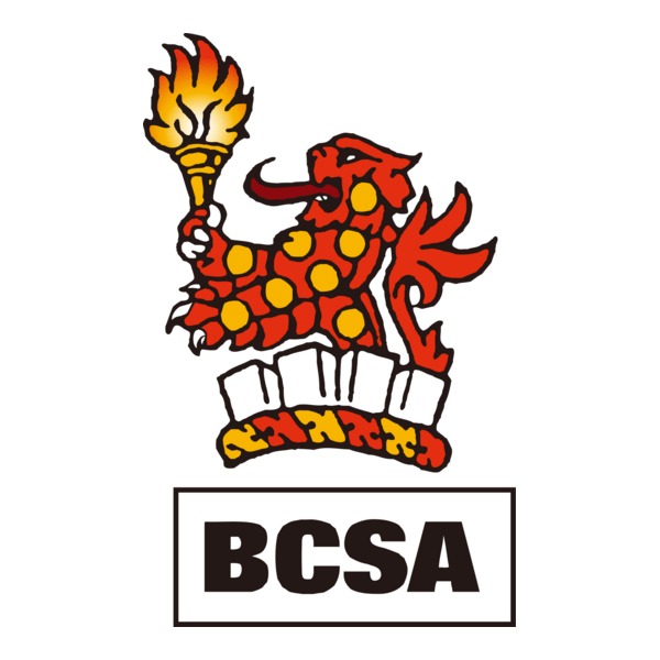 BCSA.png
