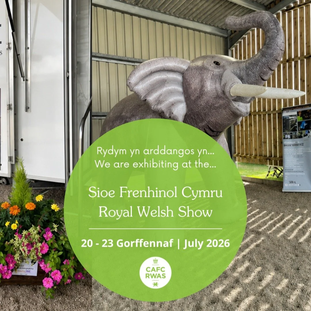 Royal Welsh Show, we&rsquo;re coming for you in just 19 days' time! 🐘

We&rsquo;ll be exhibiting from 20&ndash;23 July in our steel-framed building on site.

Find us at Stand 644-H for a chat about agricultural, equestrian, industrial and commercial