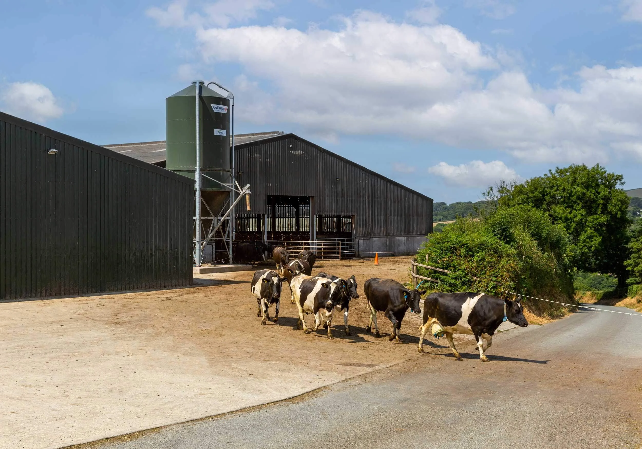 Image showcasing Spittal Cross Farm | Steel portal frame agricultural building and ...