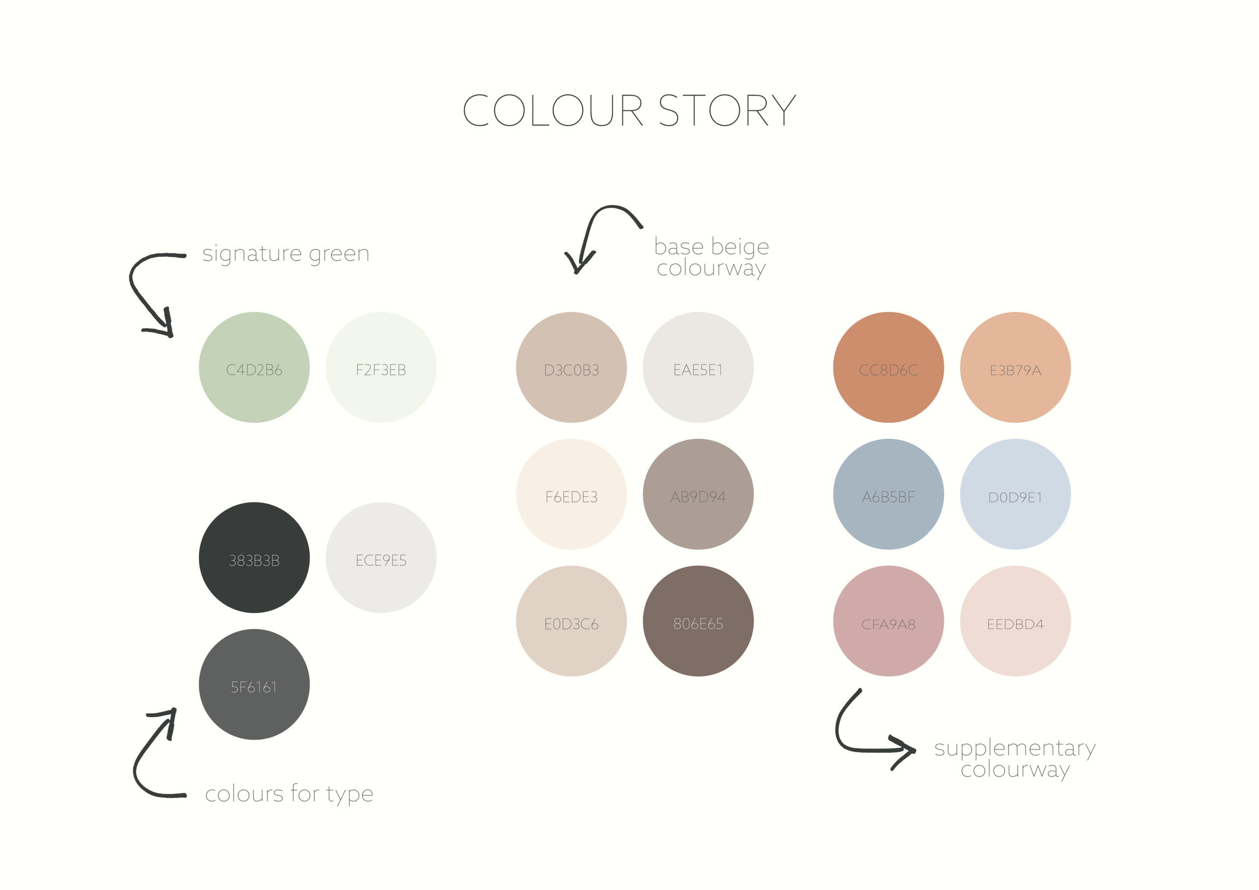 Brand Identity Portfolio_Colour Story .png