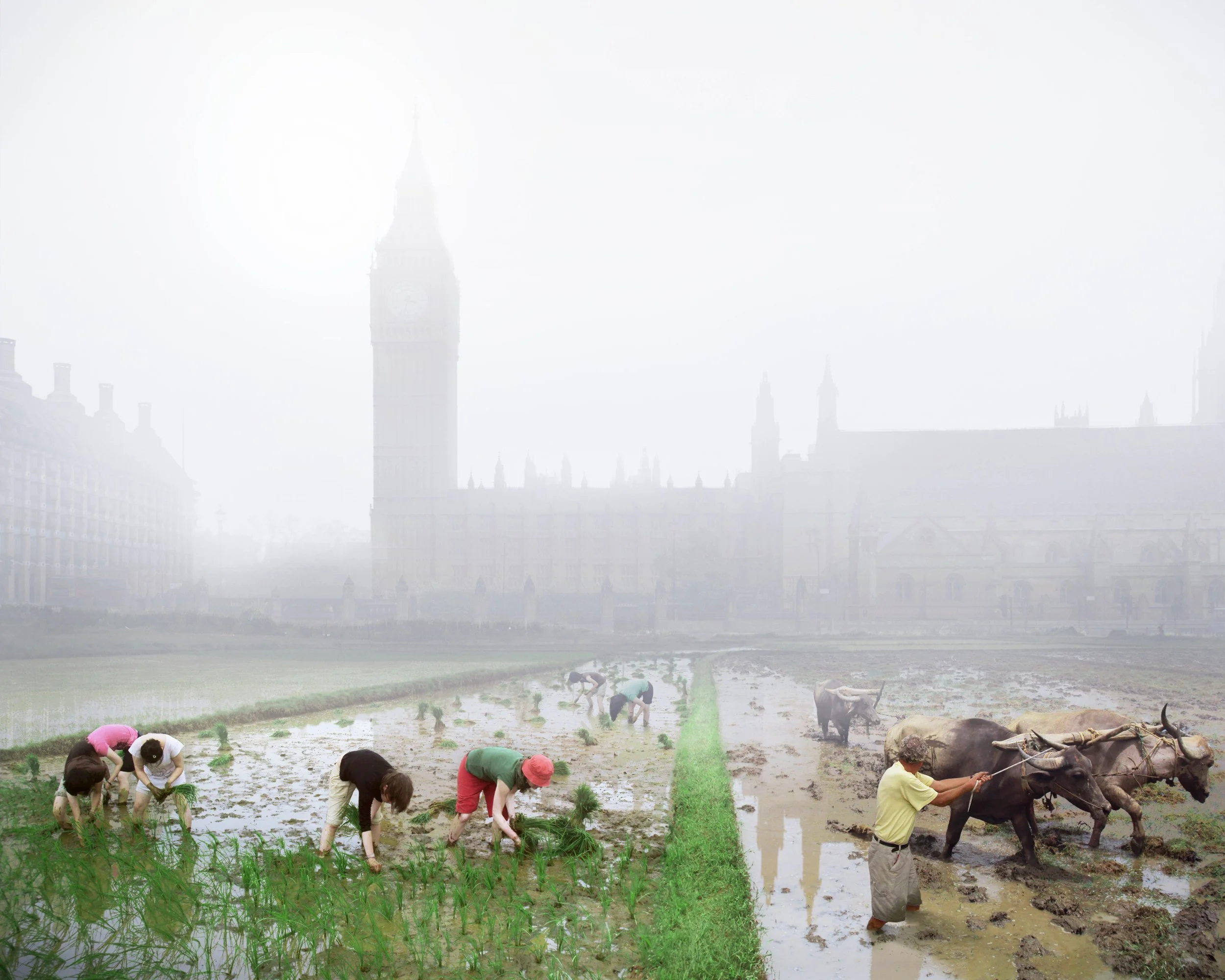 Postcards From The Future_Parliament Square Paddy Fields_Copyright GMJ.jpg