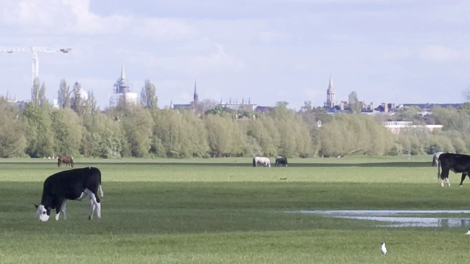 1176_Oxford_View 01_Port Meadow_Zoom_revD.jpg