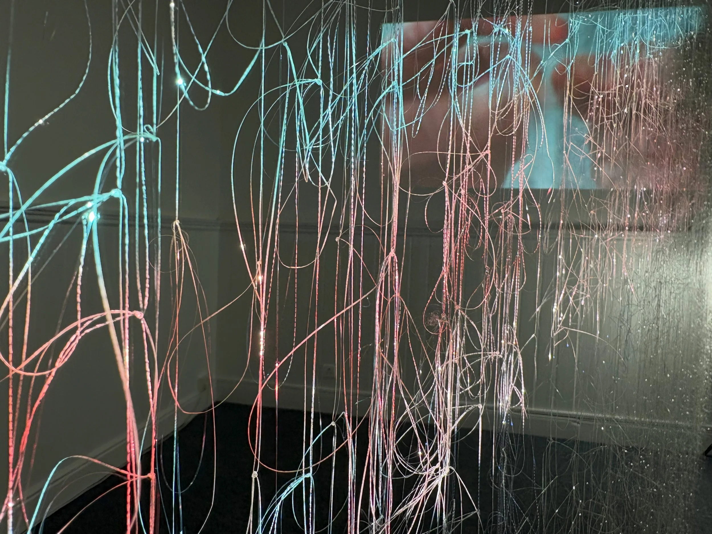 10000 Knots_Magner 2025_Detail.jpg