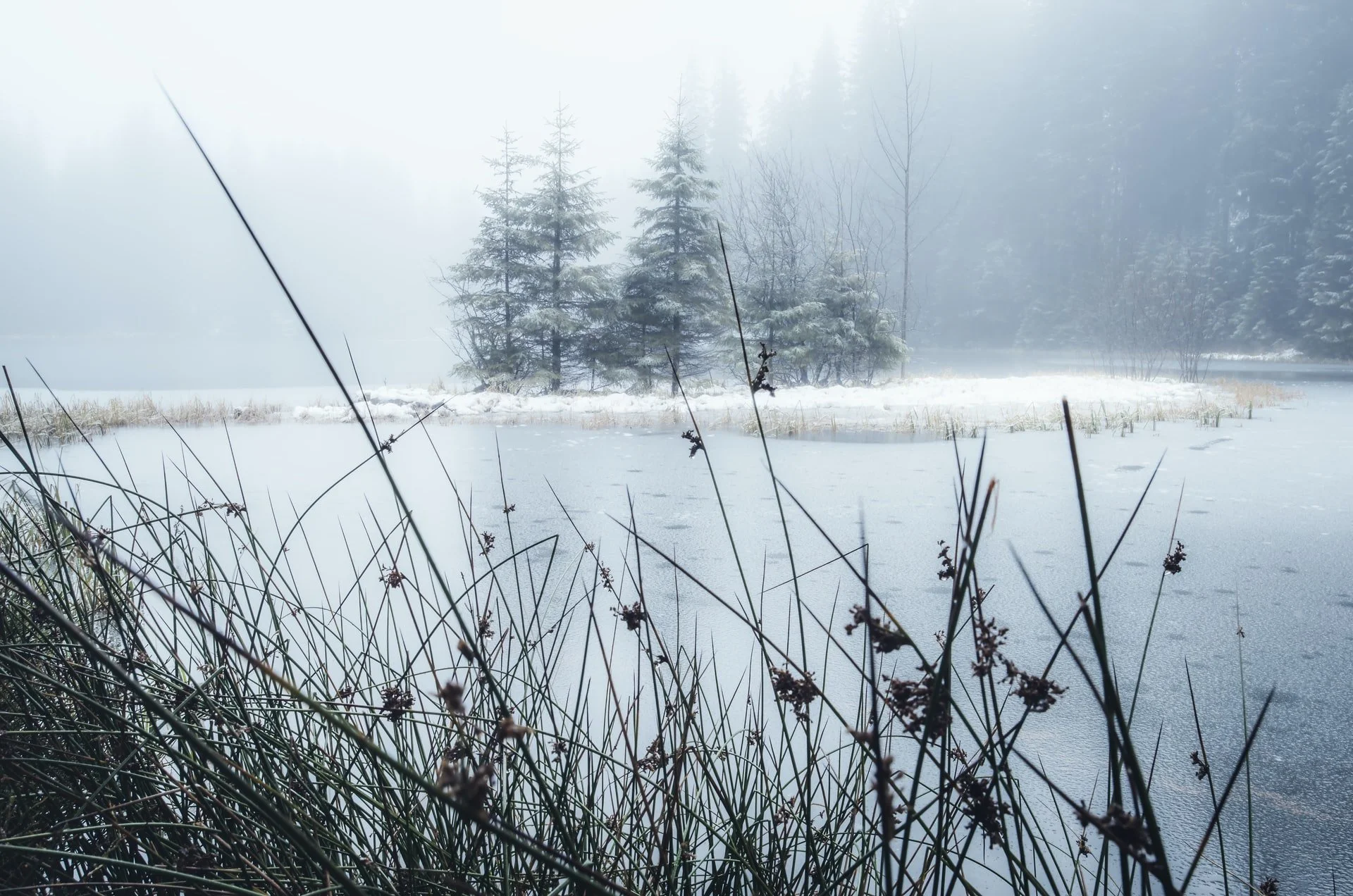 On falling through pond ice