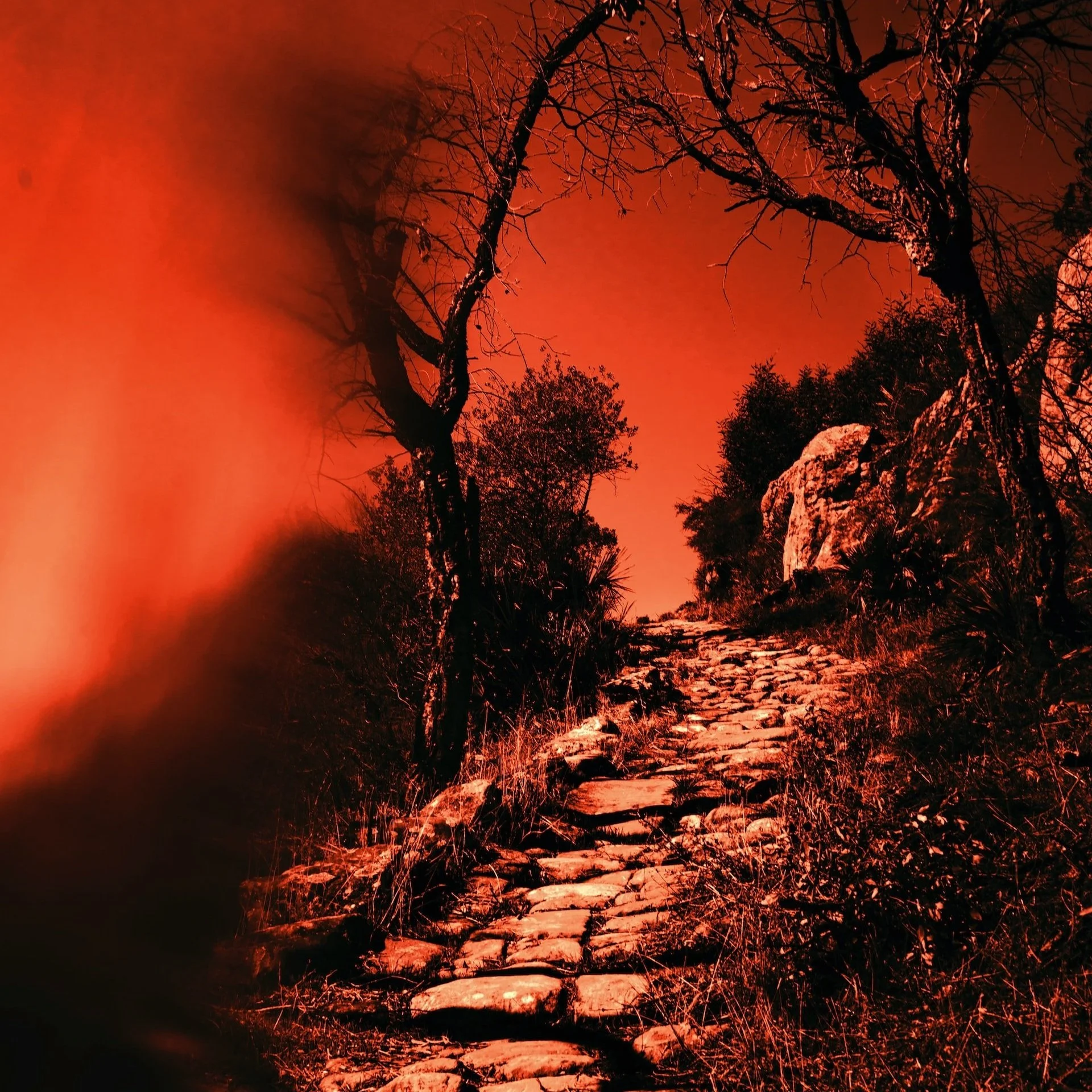 “Go to hell…”