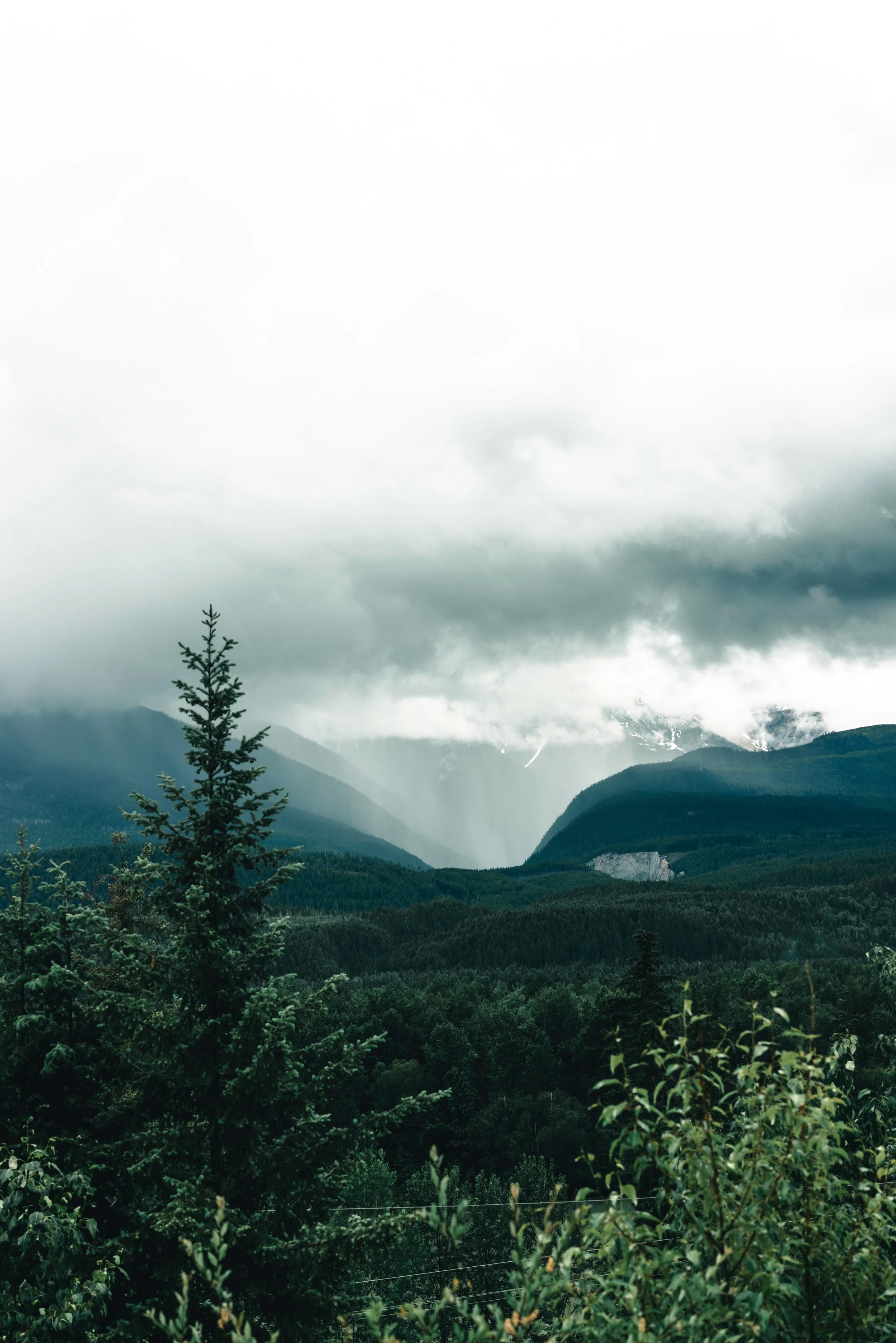 On navigating lostness