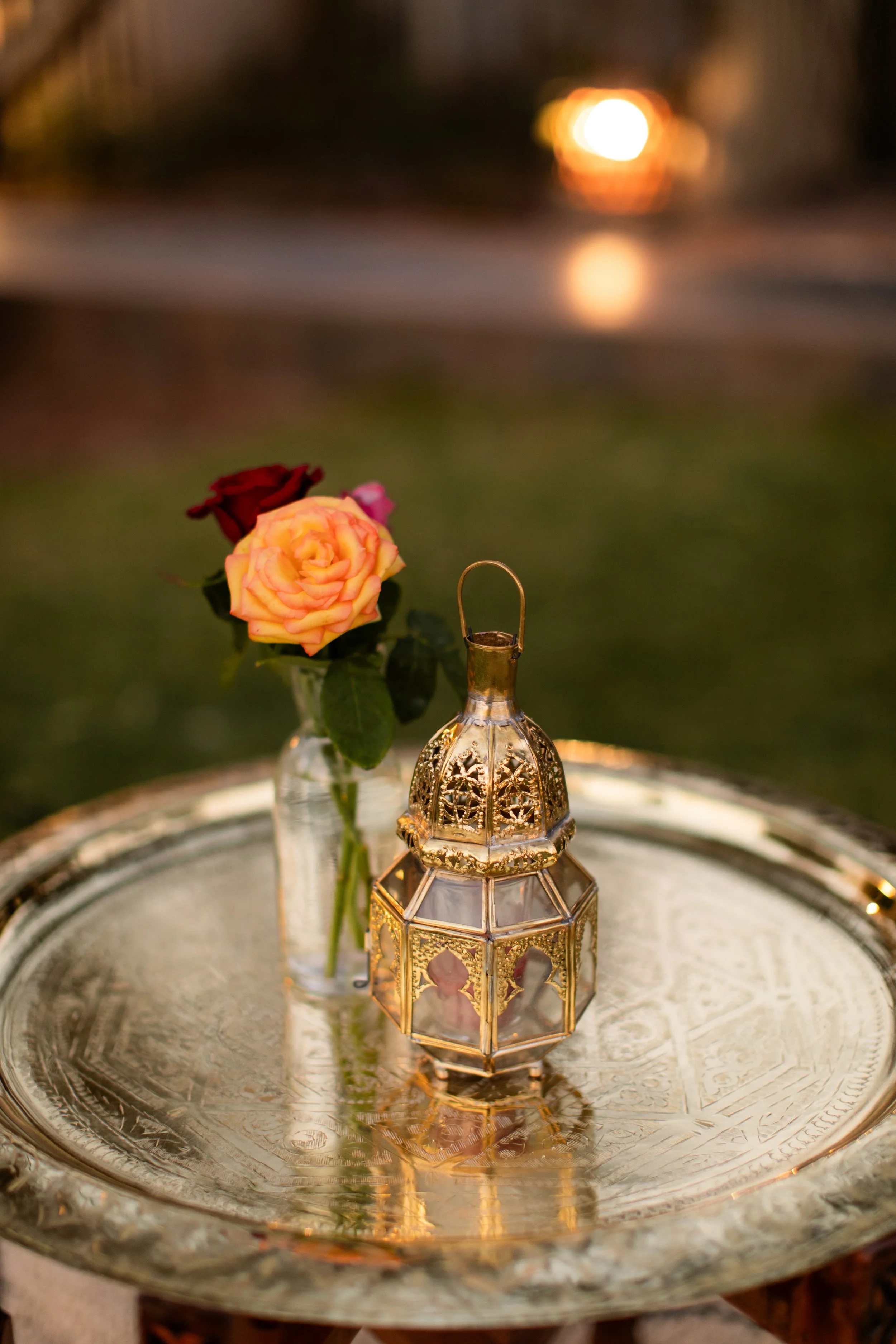 welcome party 2-250.jpg