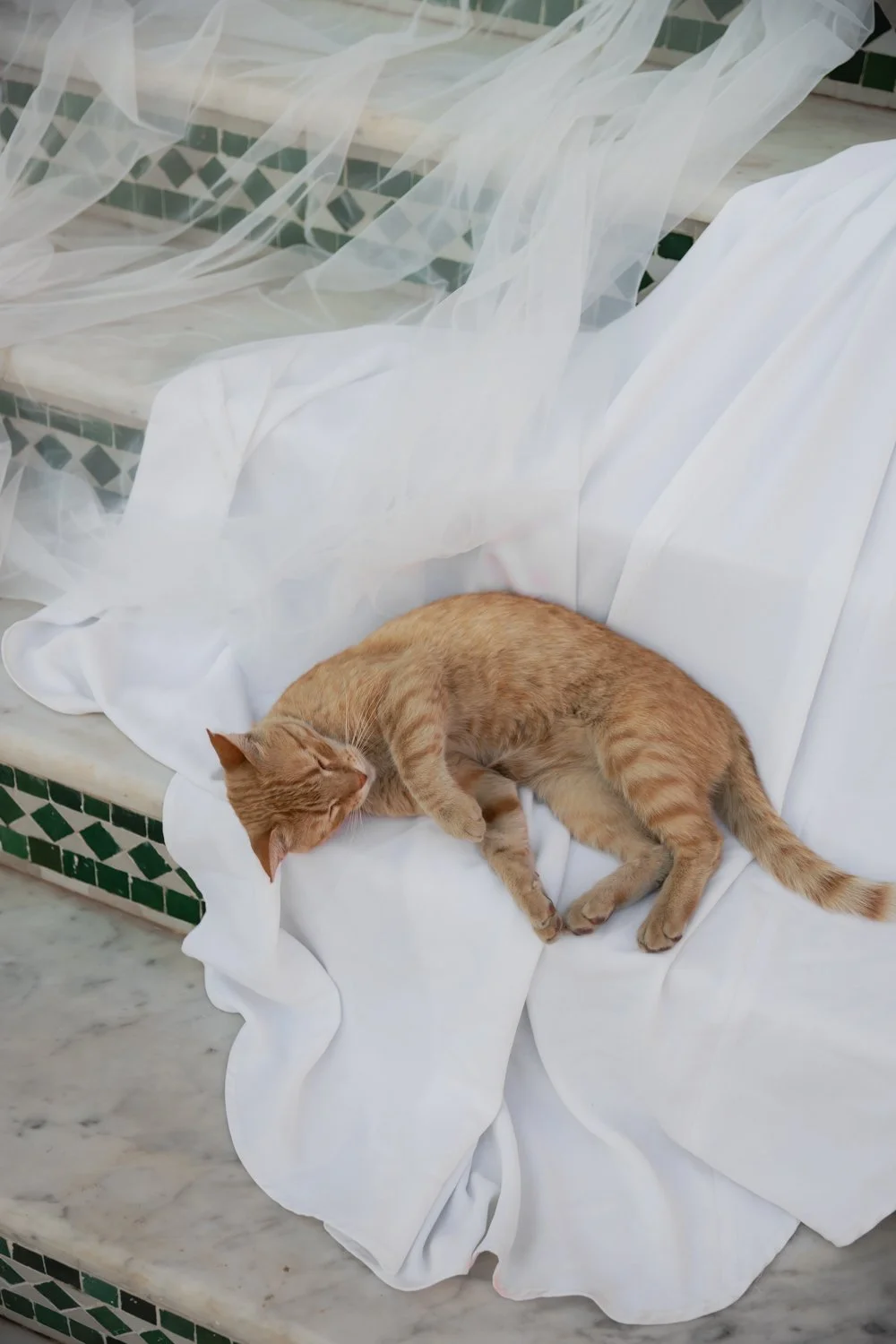 La Mamounia Marrakech wedding photographer