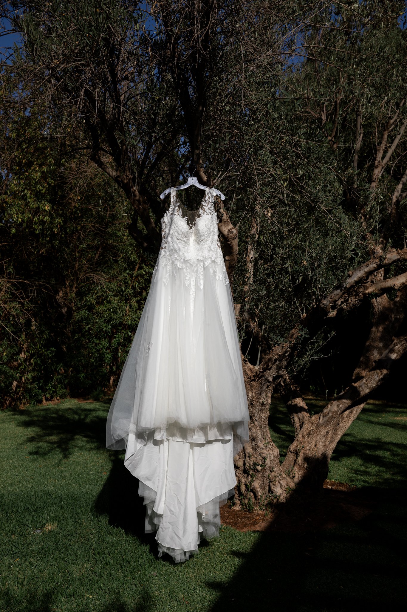 intimate wedding ceremony under olive trees in Marrakech- Marrakech photographer 