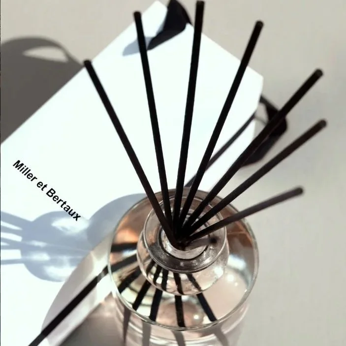 Vasen mit schwarzen Stäben, die Schatten auf eine weiße Oberfläche werfen, daneben ein Buch mit dem Titel 'Miller et Bertaux'