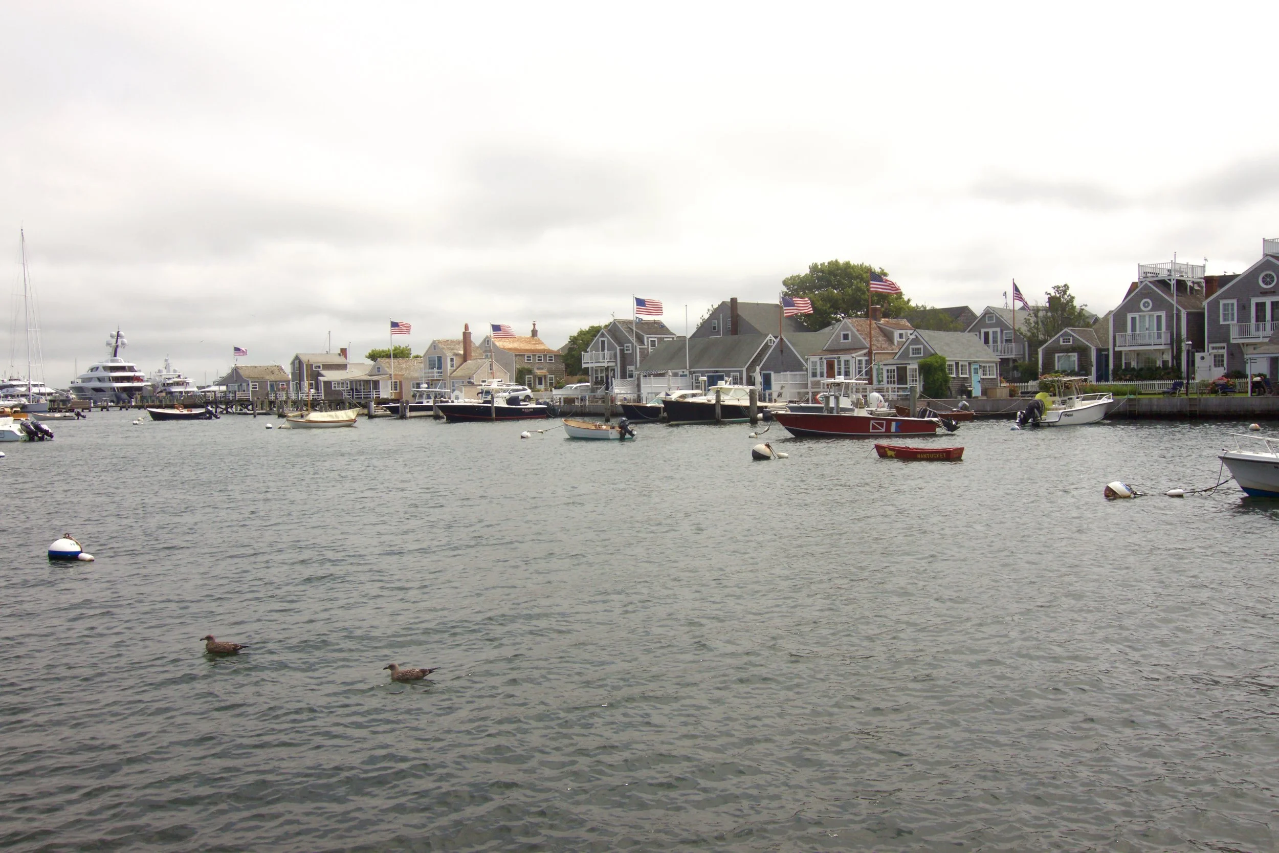 IMG_7842.jpeg