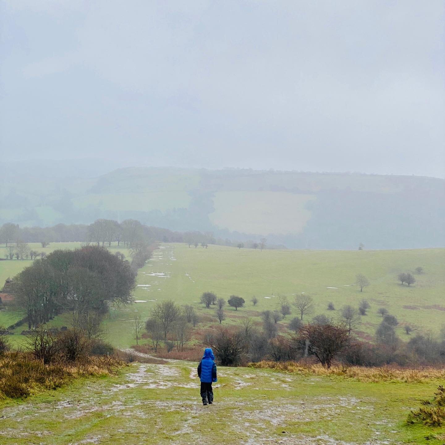 Misty Somerset strolls ☁️☁️☁️It&rsquo;s blowing a gale outside tonight, even the windows are rattling here, hope everyone&rsquo;s tucked up safe and warm! 😘