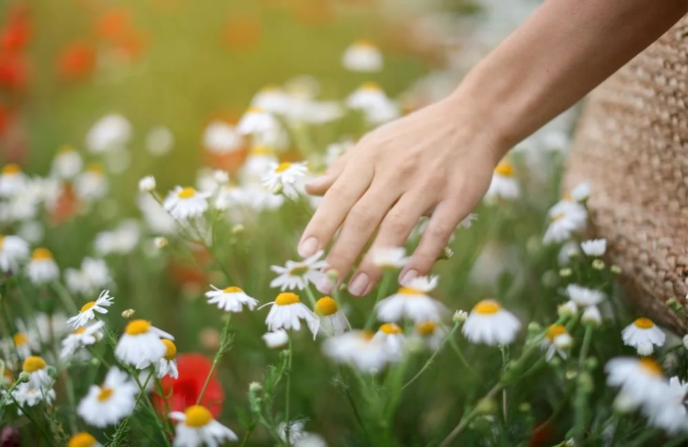 The Art of Reconnecting with Nature