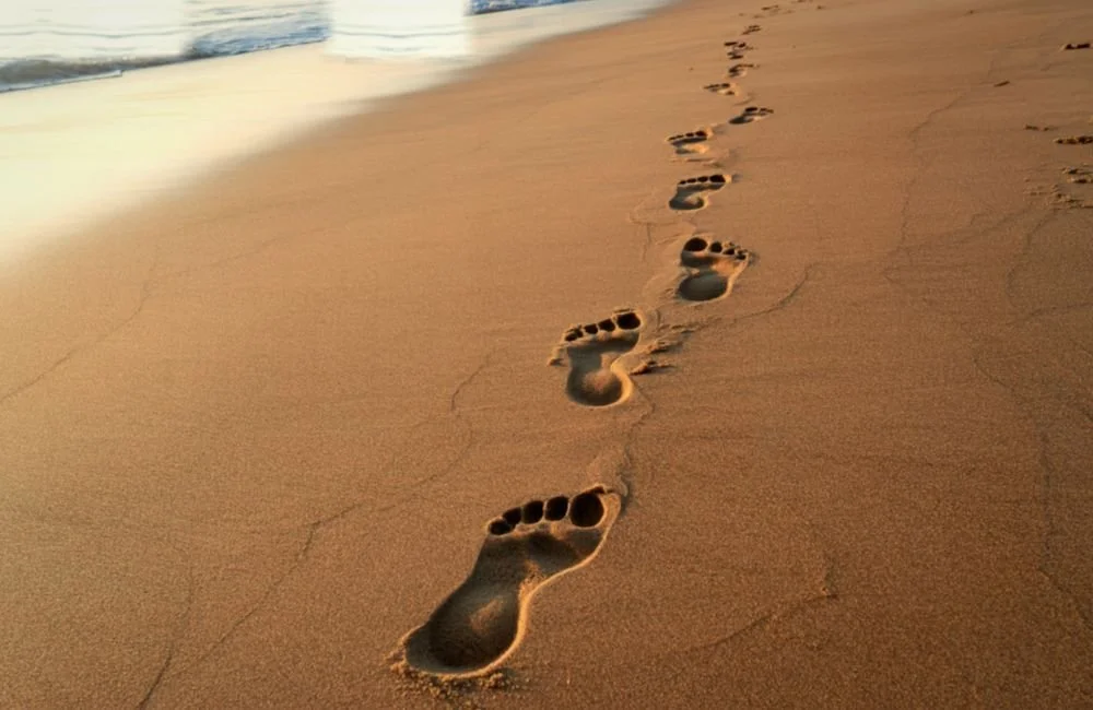 Following Eve's Footprints: 117 000 Years of History at Your Door&nbsp;