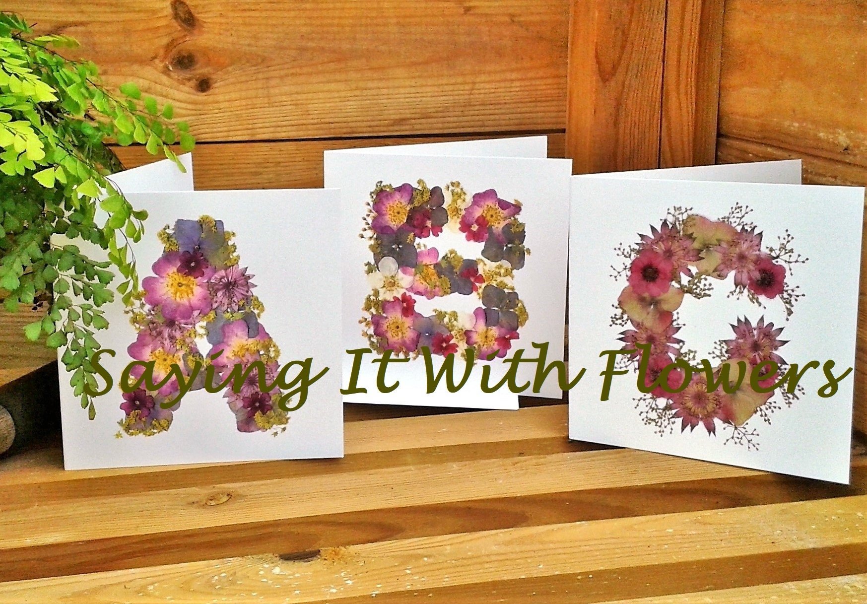 https://i.etsystatic.com/14523981/r/il/1e9eb8/2936328509/il_fullxfull.2936328509_o9m3.jpg