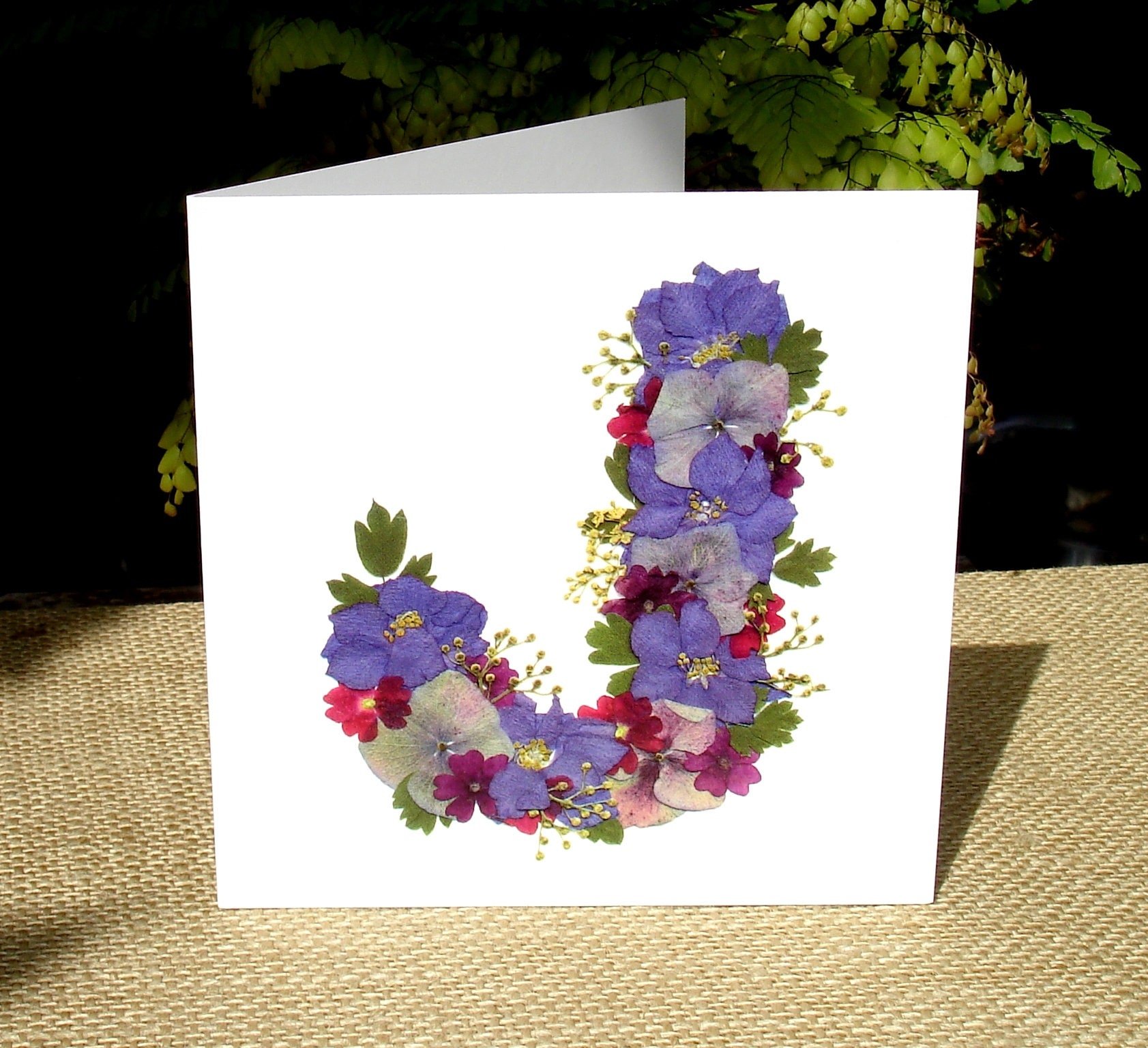 https://i.etsystatic.com/14523981/r/il/fdafb6/2052735157/il_fullxfull.2052735157_recr.jpg