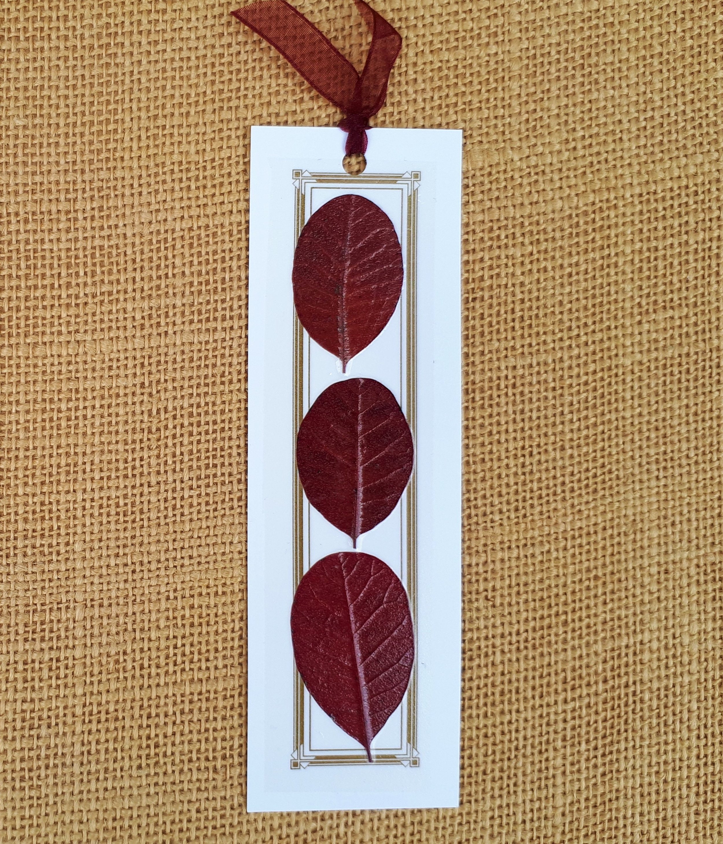 https://i.etsystatic.com/14523981/r/il/e6bb90/2488171026/il_fullxfull.2488171026_5aud.jpg