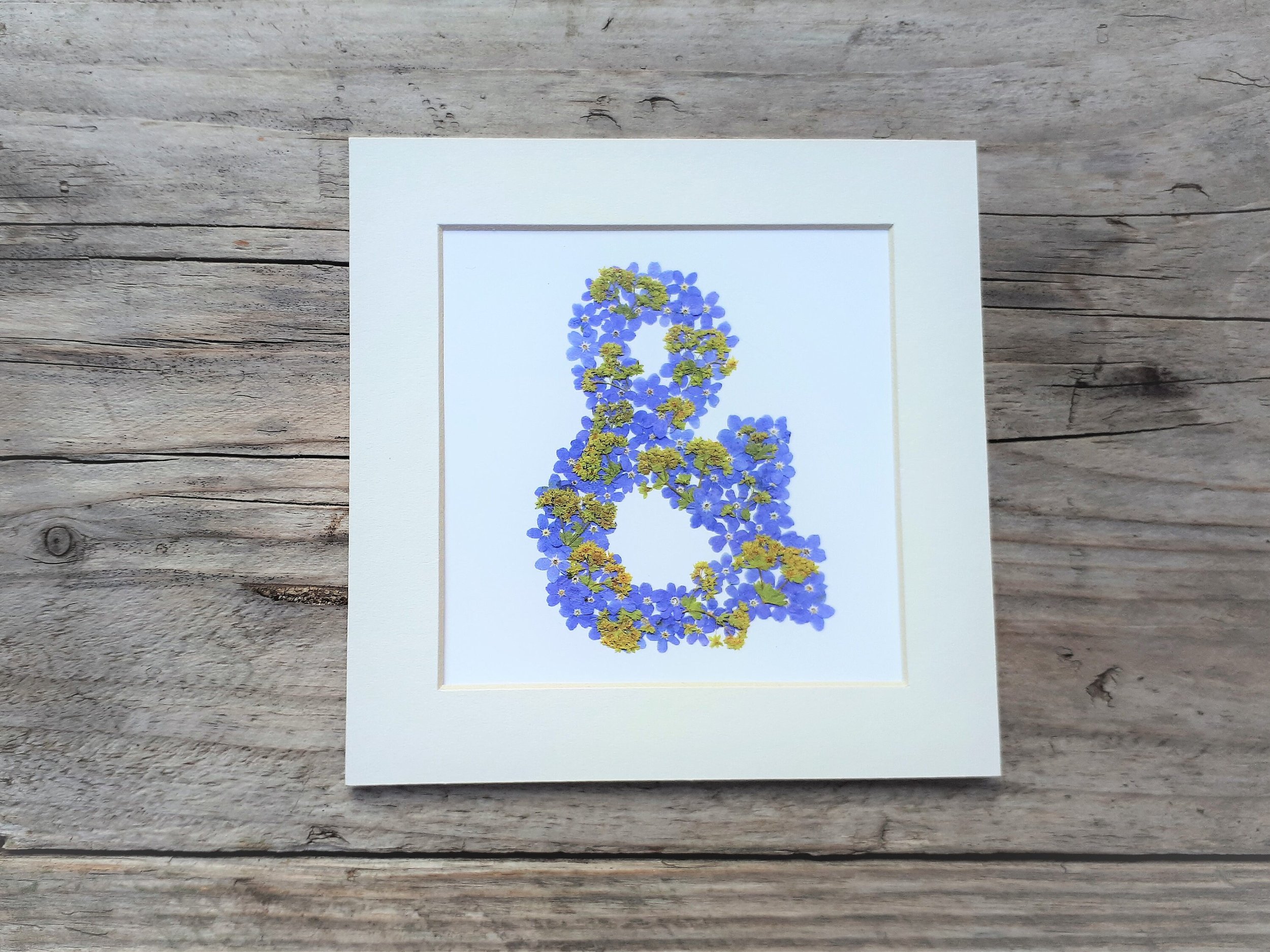 https://i.etsystatic.com/14523981/r/il/3c8df1/3510076700/il_fullxfull.3510076700_1end.jpg