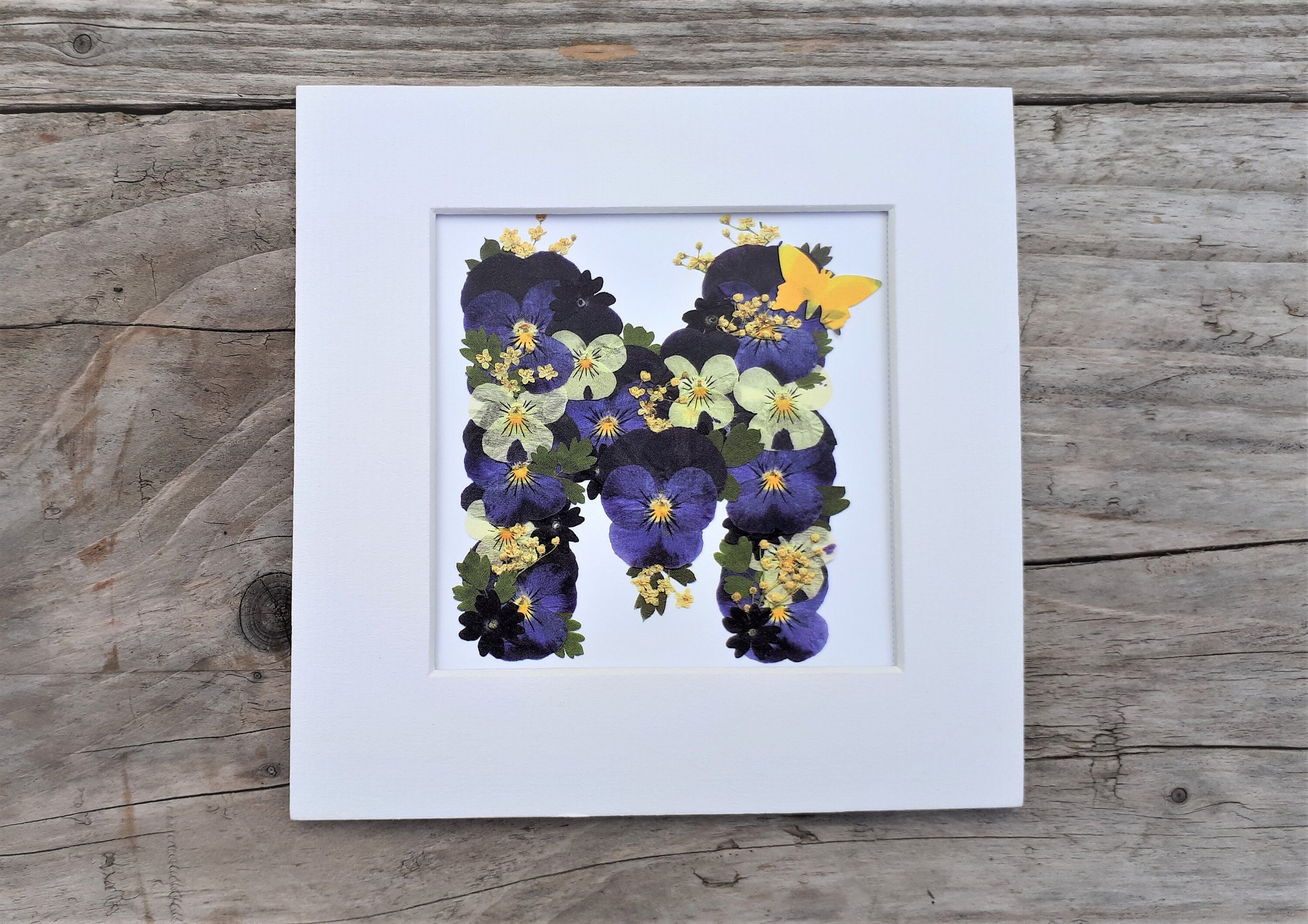 https://i.etsystatic.com/14523981/r/il/c6a5f7/3510068152/il_fullxfull.3510068152_rsz0.jpg