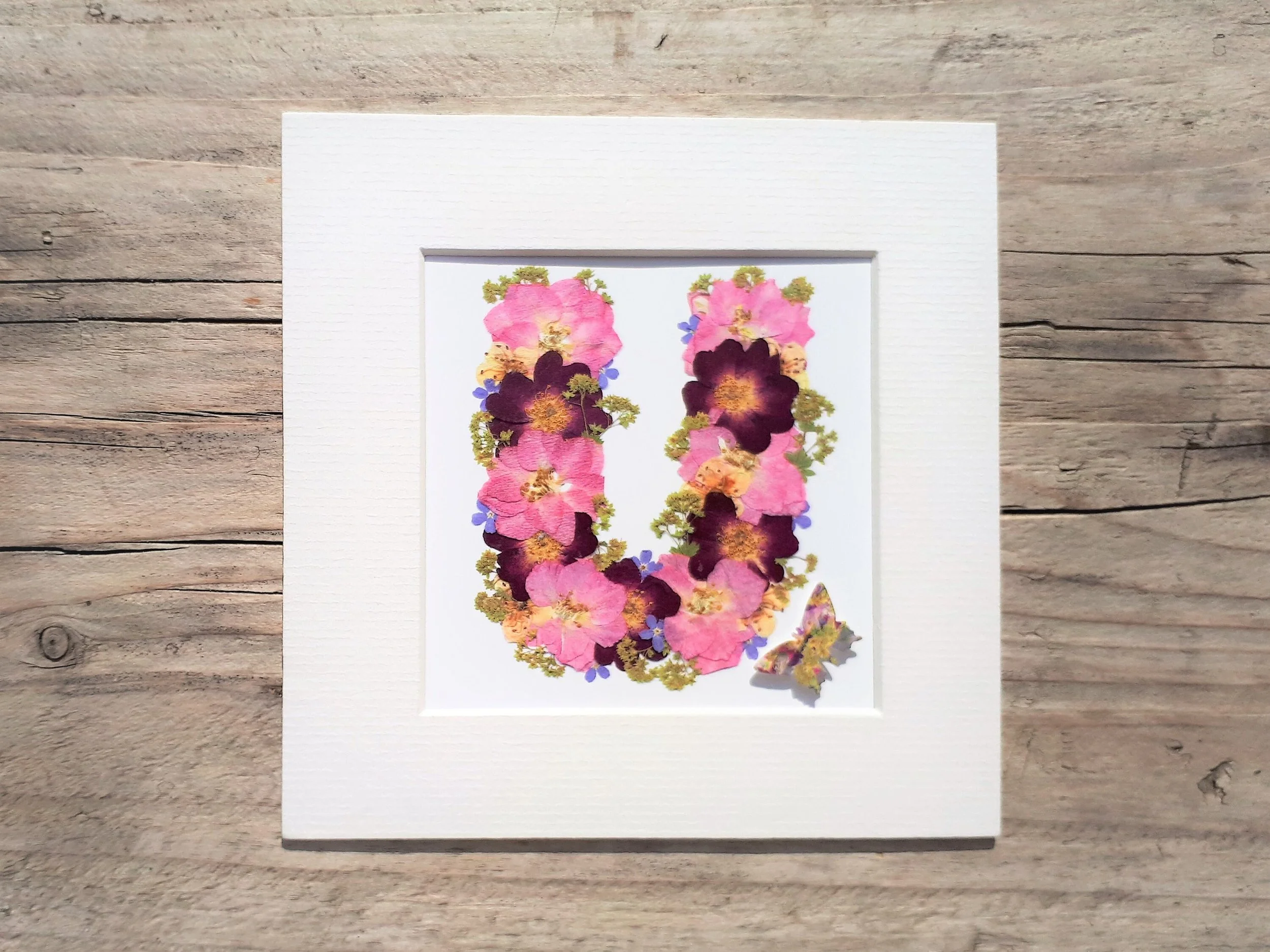 https://i.etsystatic.com/14523981/r/il/7670c0/3496146664/il_fullxfull.3496146664_c5a4.jpg