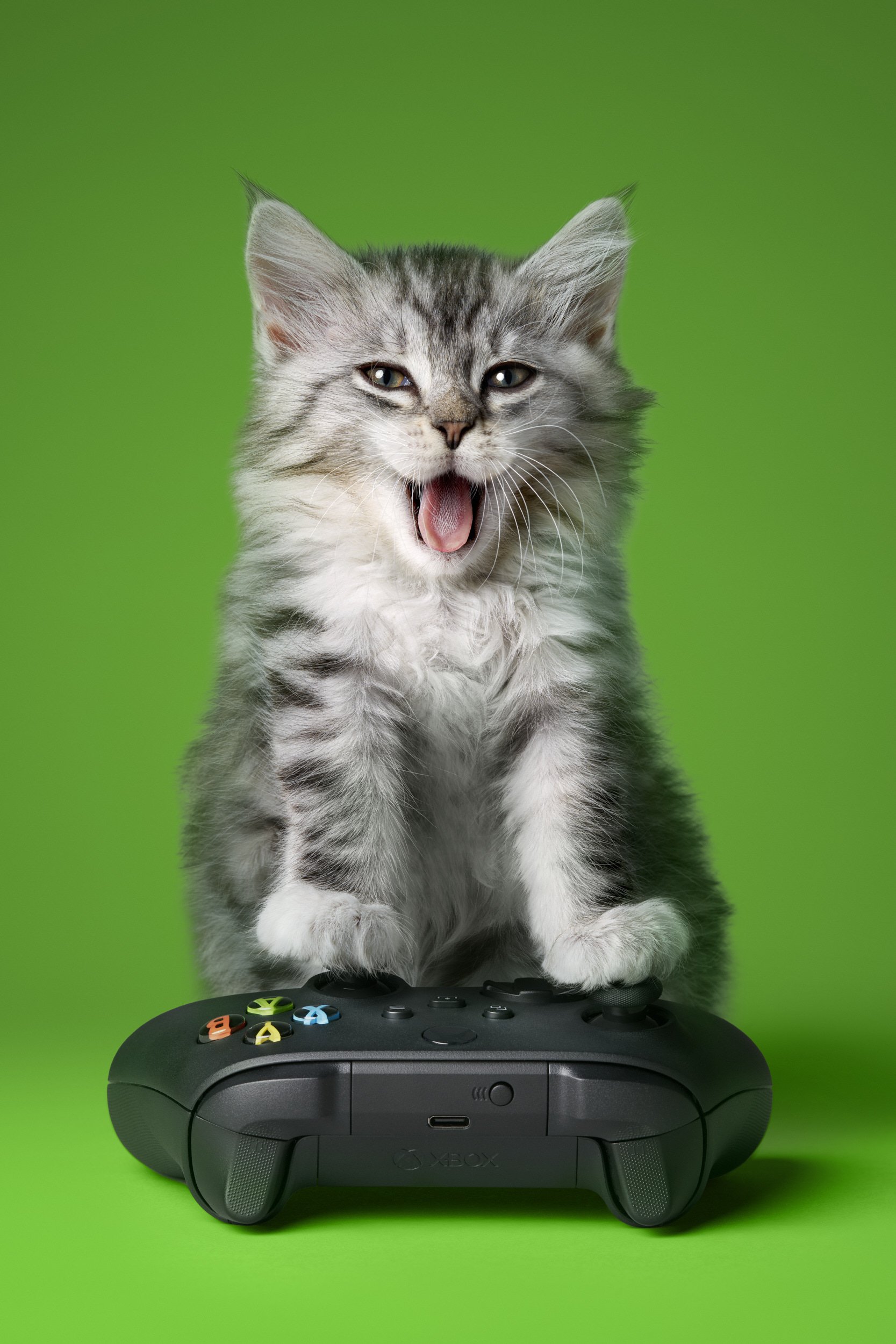 JVF-KPN-Cats-Controller-CROP.jpg