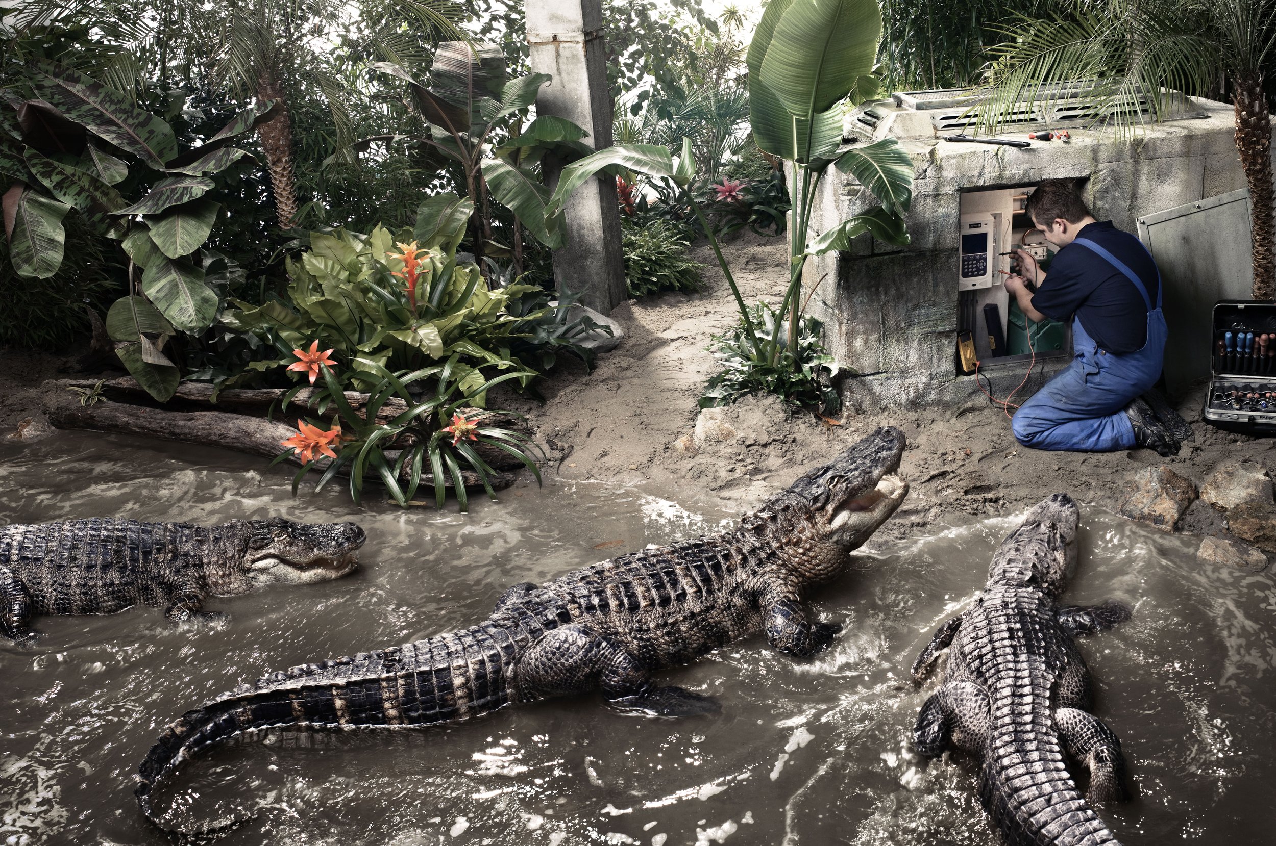 JVF-NVKL-Crocodile-2.jpg