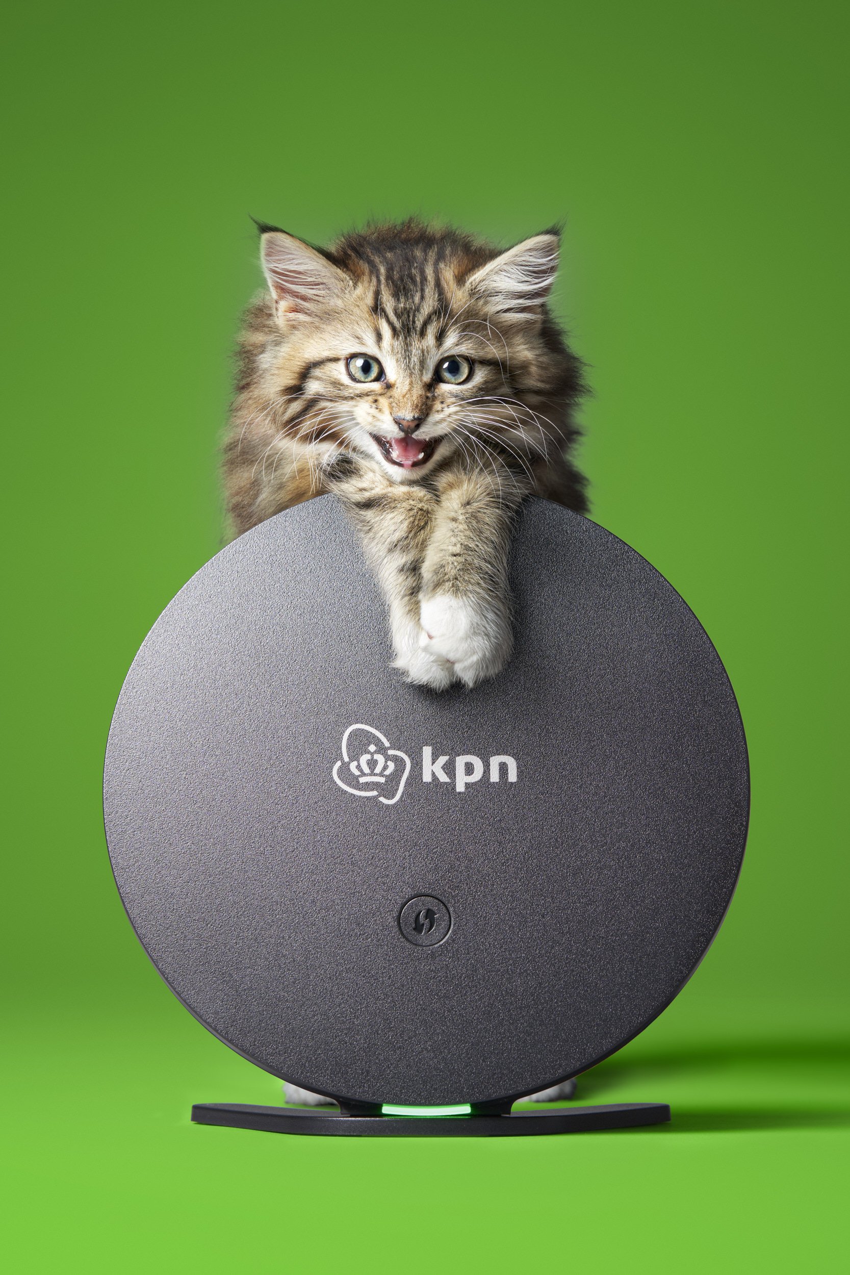 JVF-KPN-Cats-WiFi-CROP.jpg