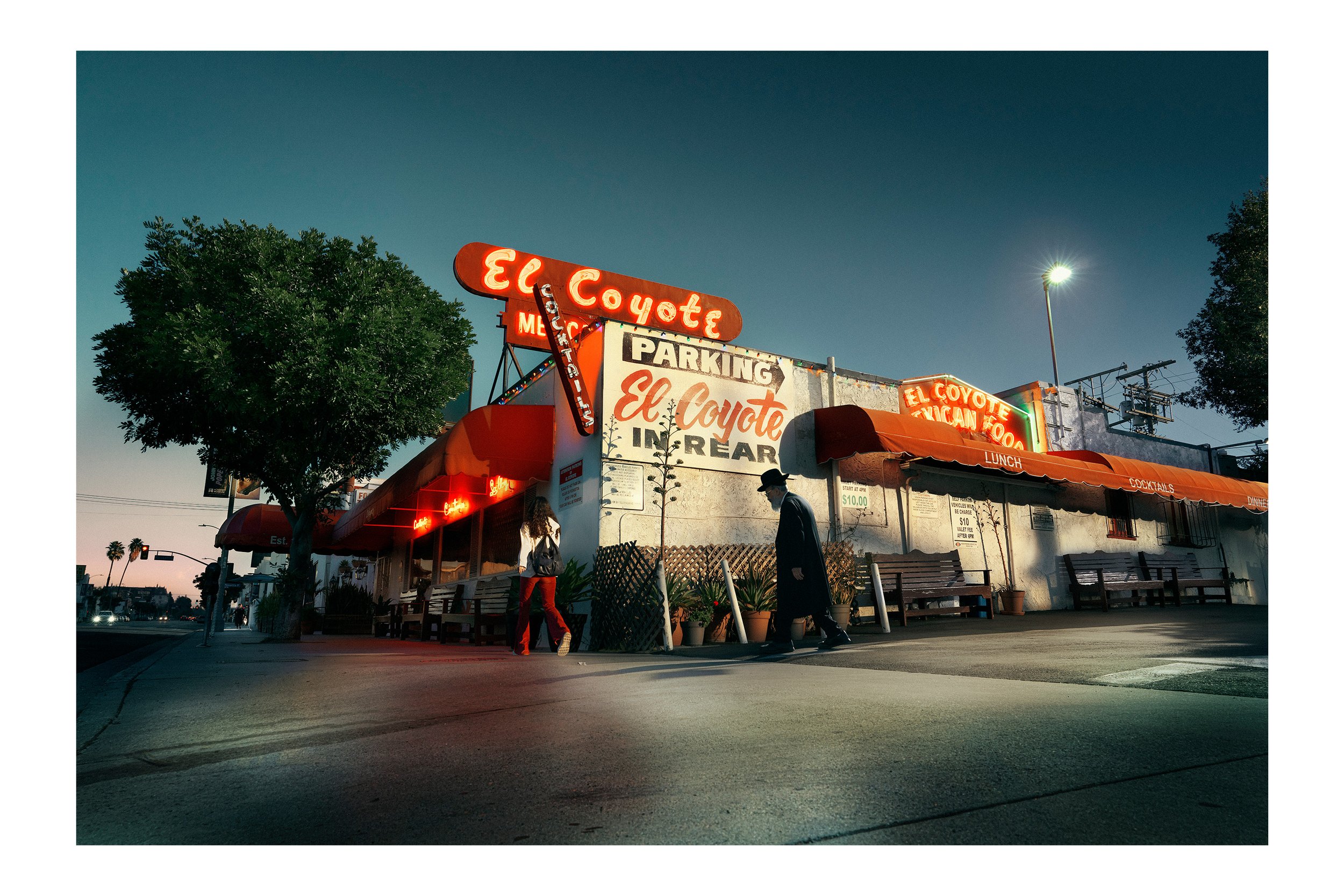 El Coyote