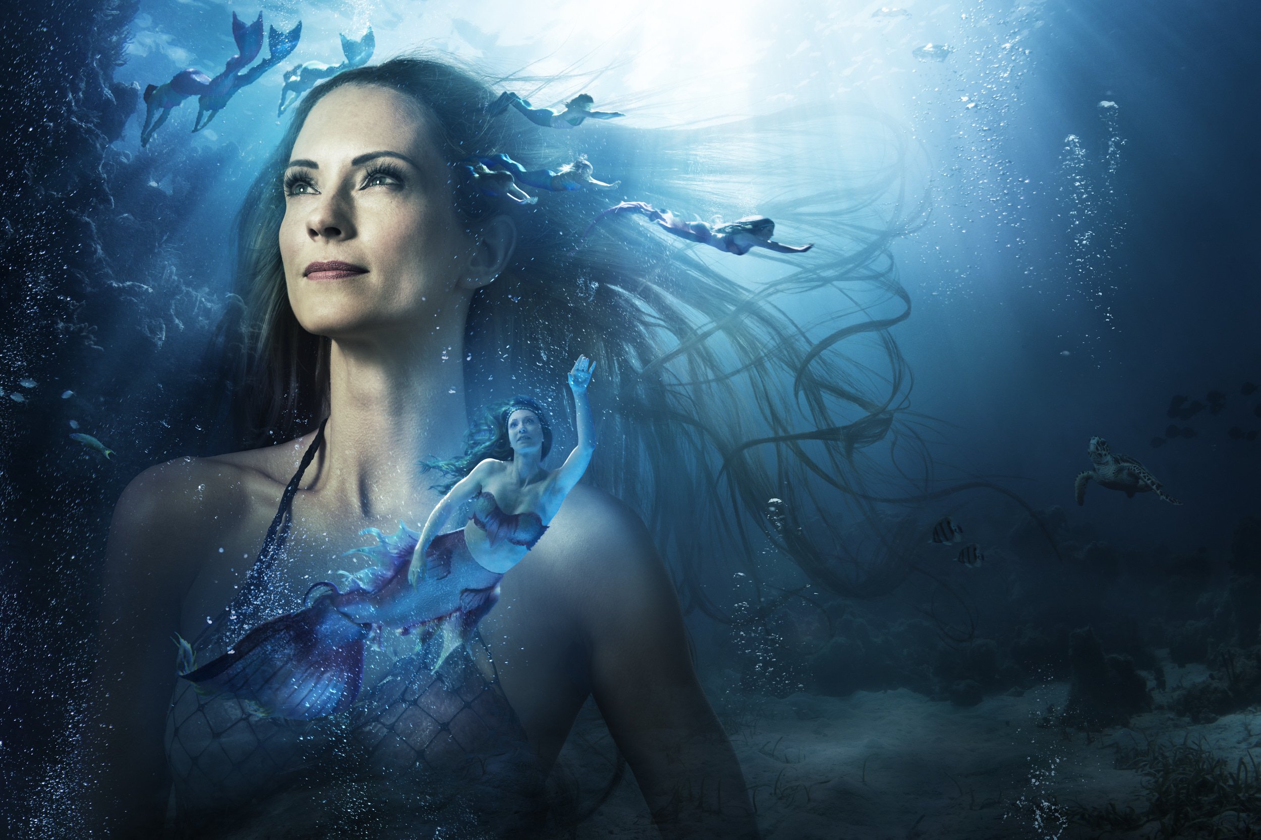 JVF-Lexware-Mermaid-3x2-Crop.jpg