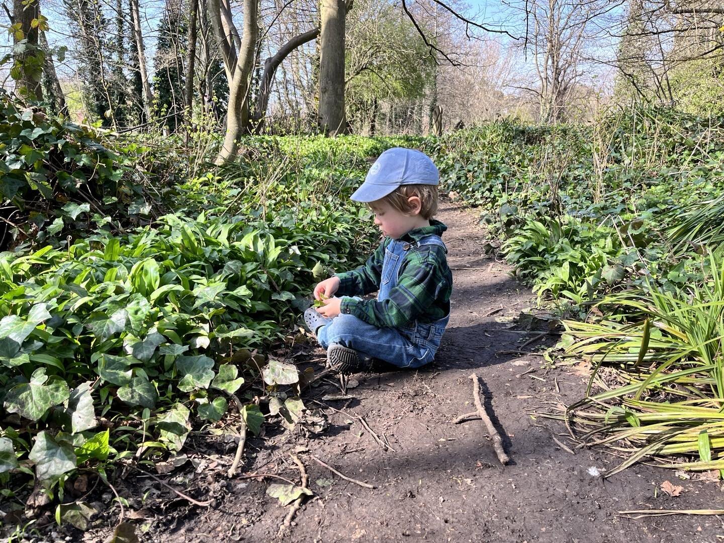 Wild garlic season has arrived ❤️ boys home with me today (work evaporates) but we get to enjoy a bit of foraging along our river instead.