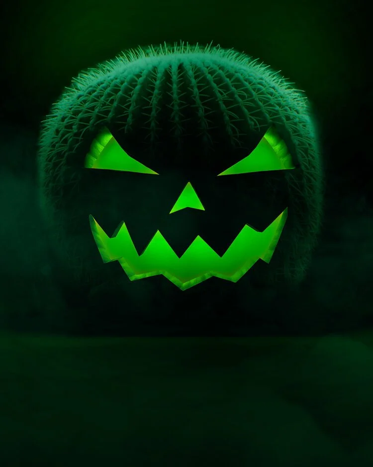 Cac-o-lantern-ig_final.jpeg