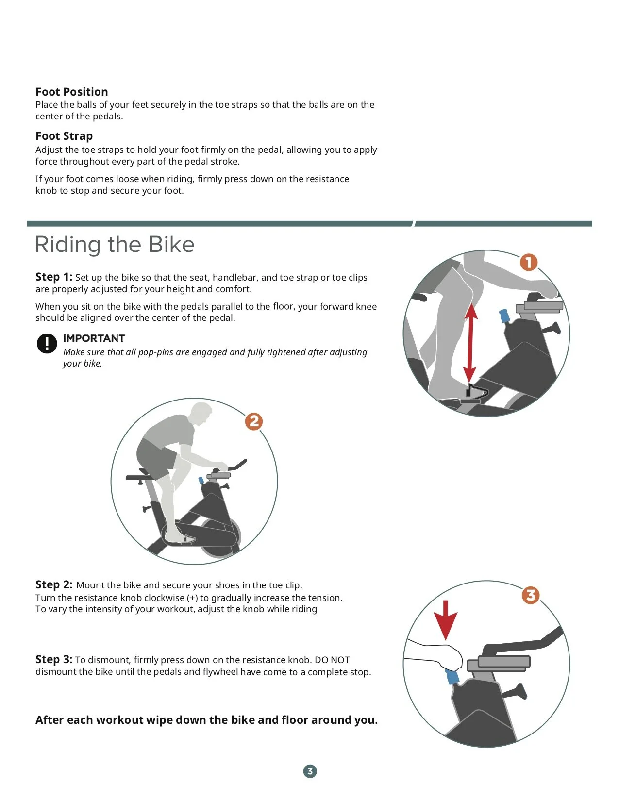 YYF_precor_2R3.jpg