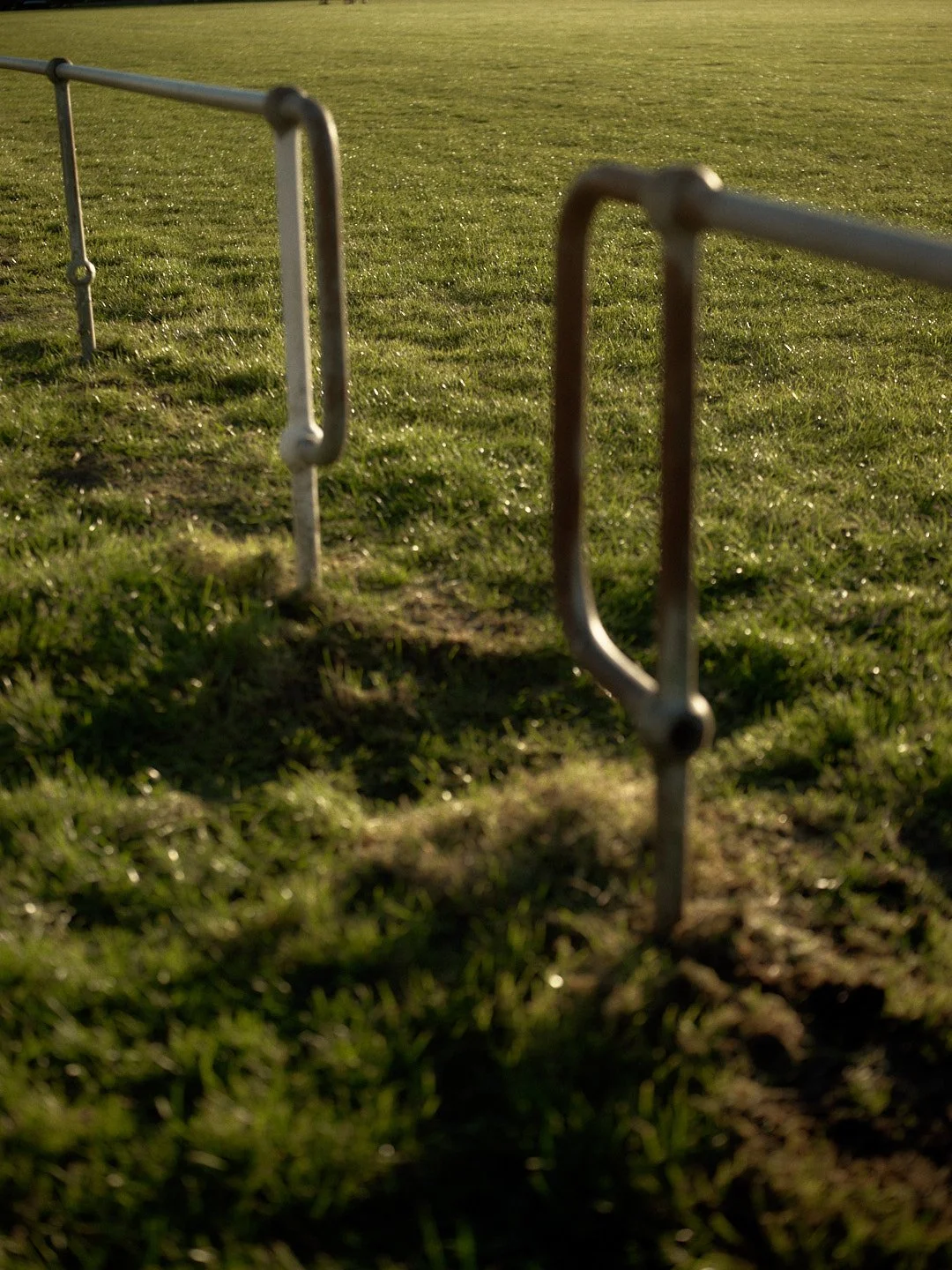 WALLSENDWHIPPETS_901.jpg