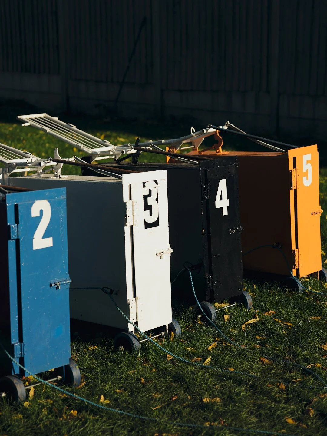 WALLSENDWHIPPETS_175 1.jpg