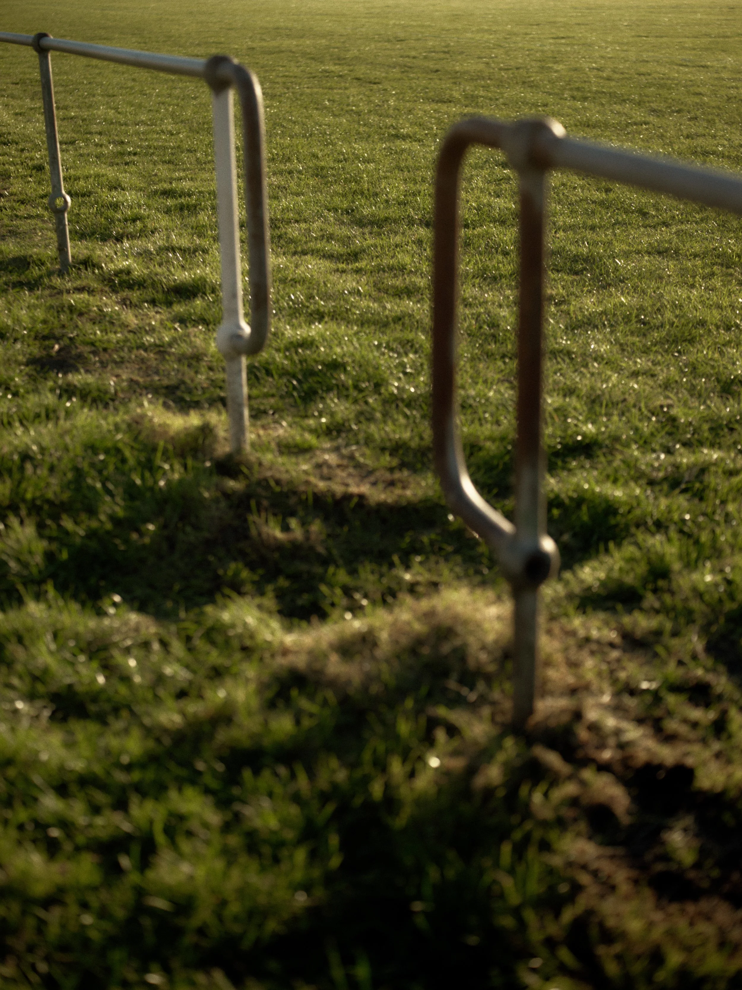 WALLSENDWHIPPETS_901-1.jpg